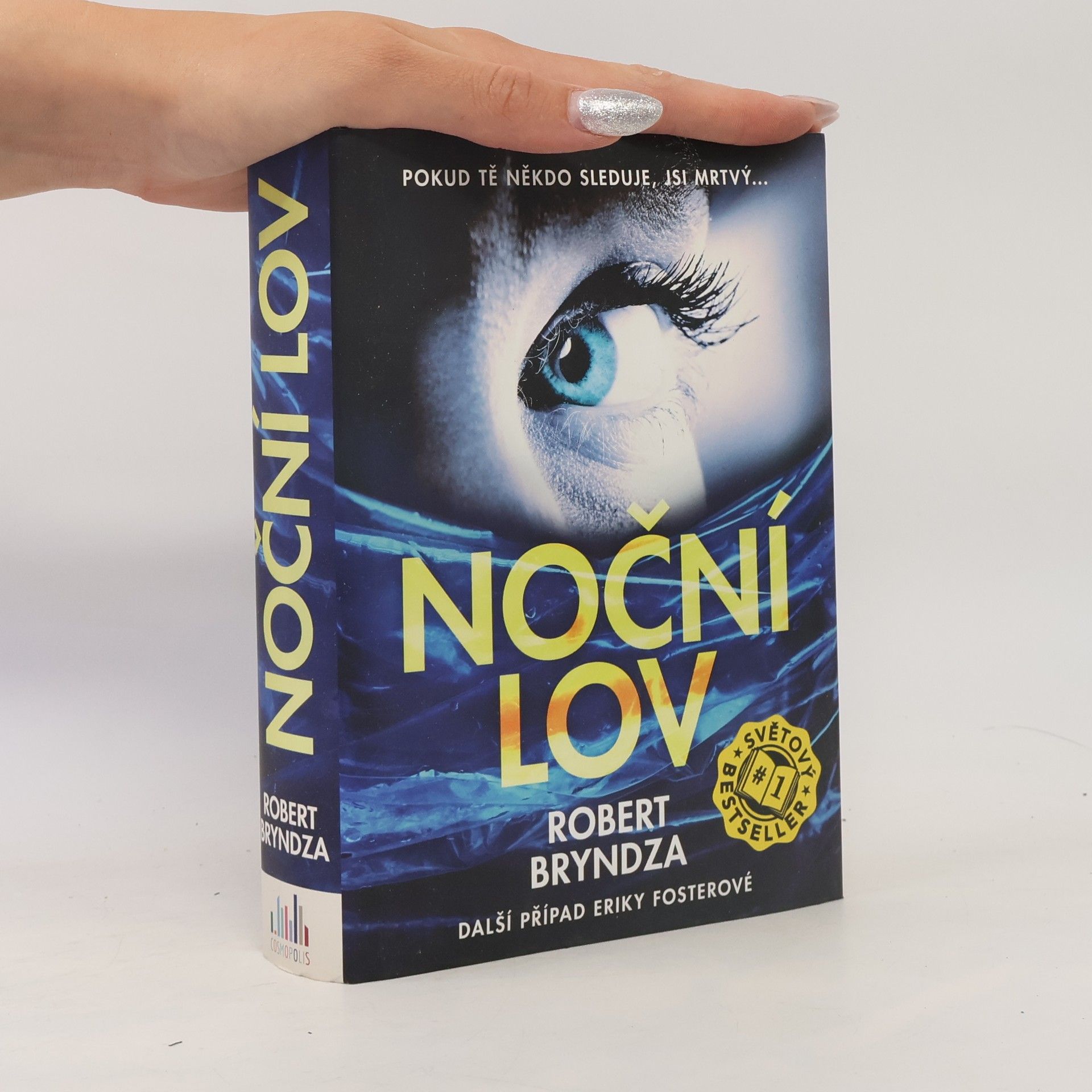 Robert Bryndza Noční lov