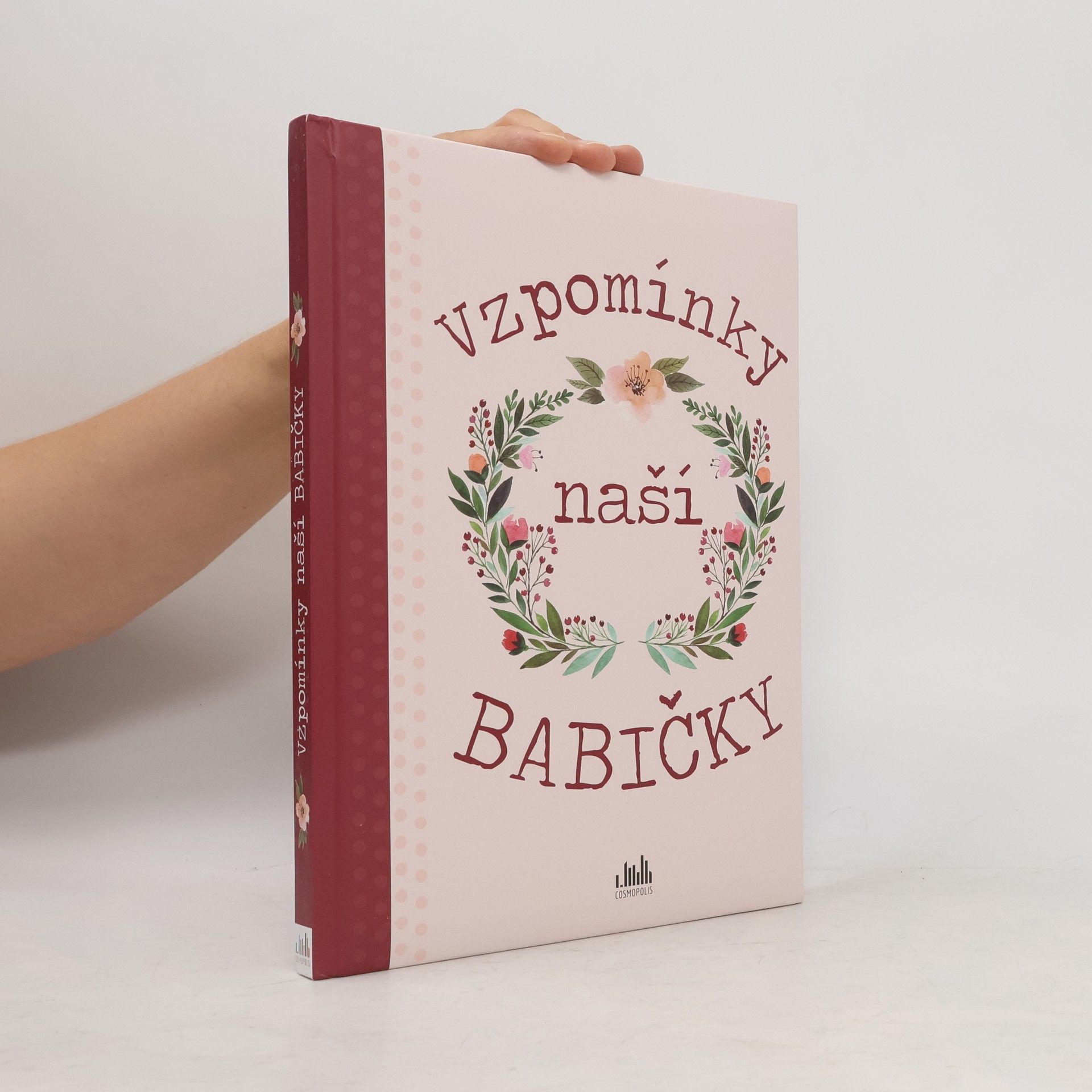 Kolektiv autorů Vzpomínky naší babičky