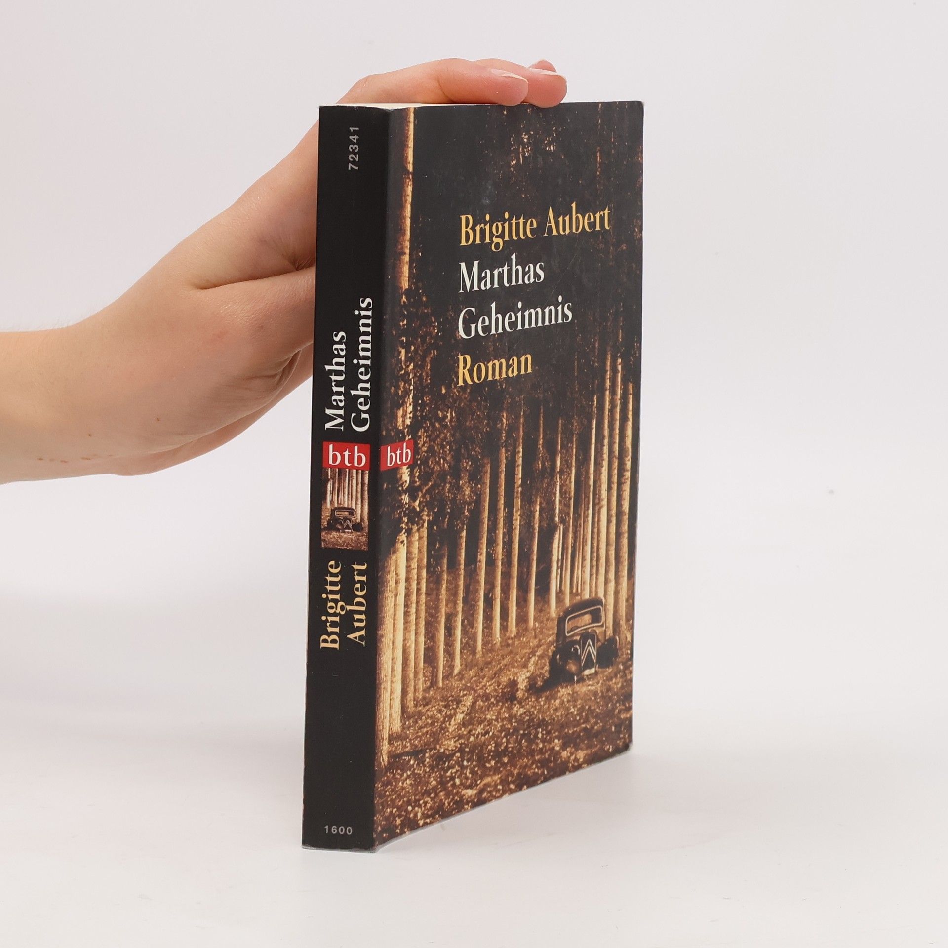 Brigitte Aubert Marthas Geheimnis