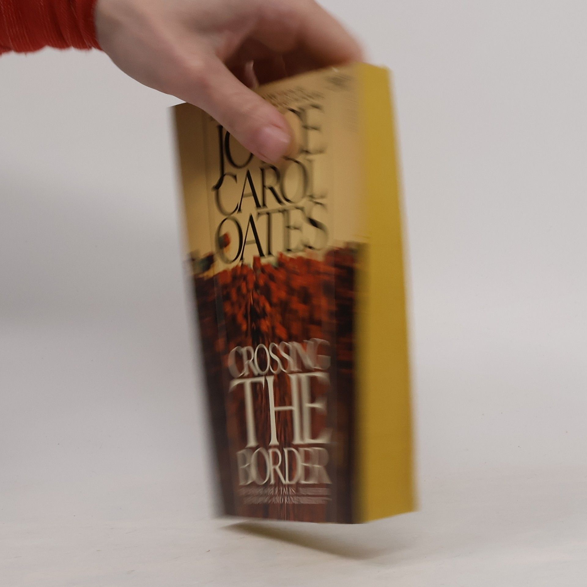Joyce Carol Oates Crossing the Border