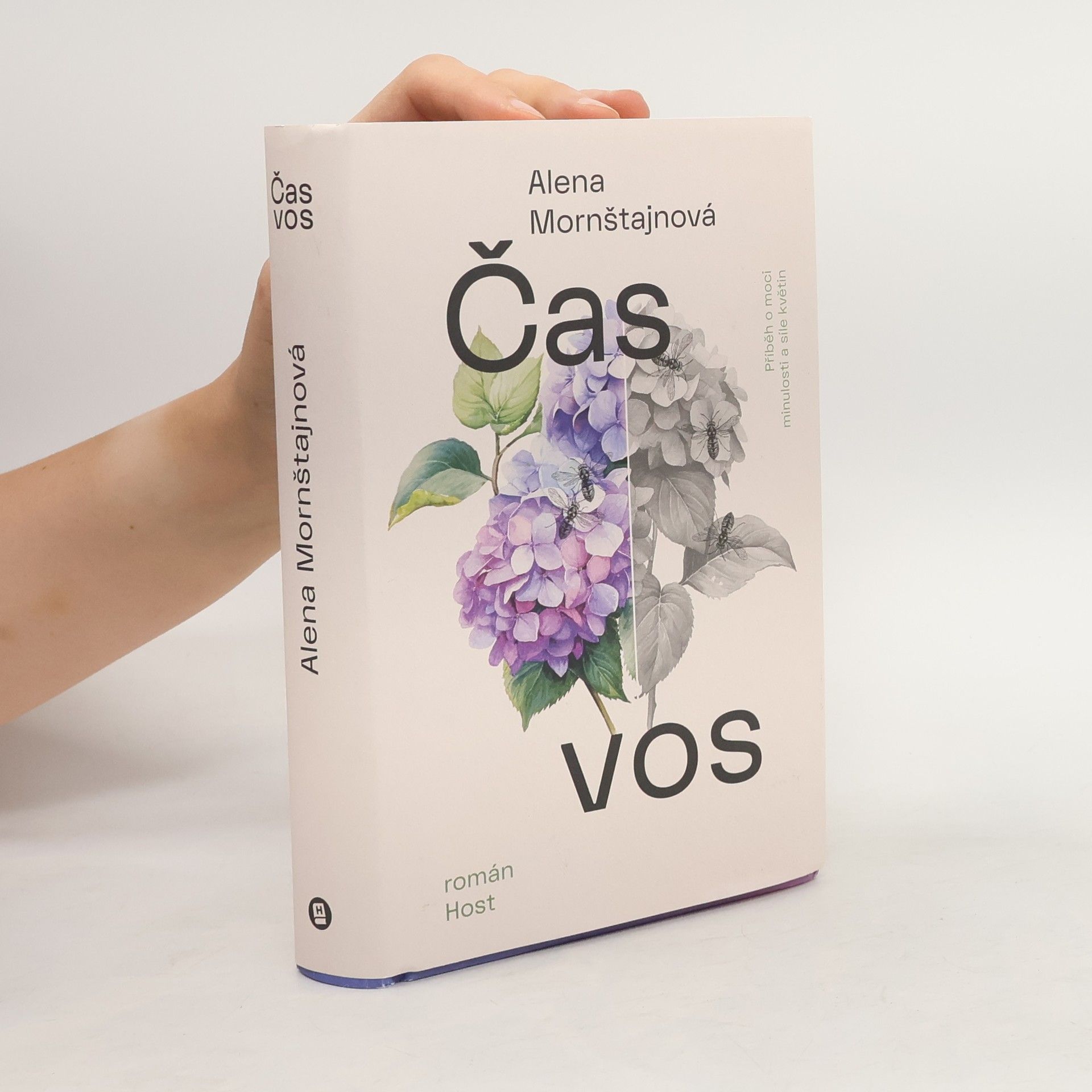 Čas vos