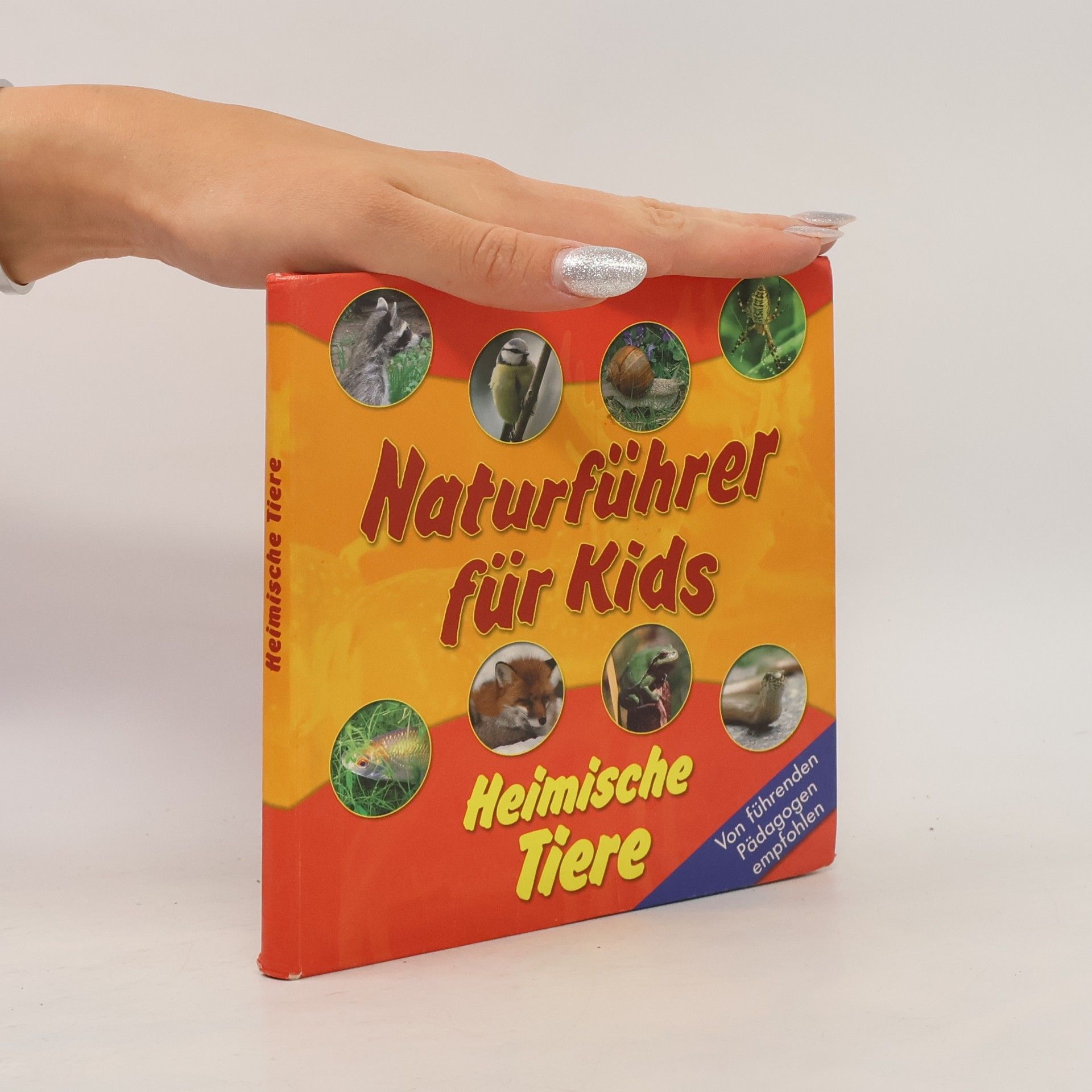 Auteurscollectief Naturführer für Kids