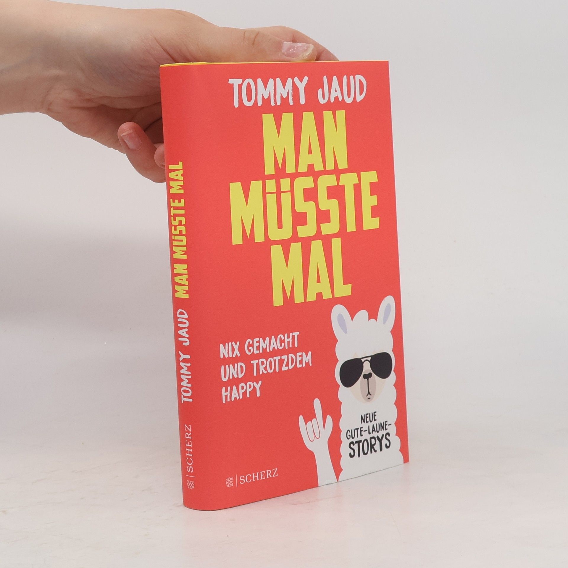 Tommy Jaud Man müsste mal