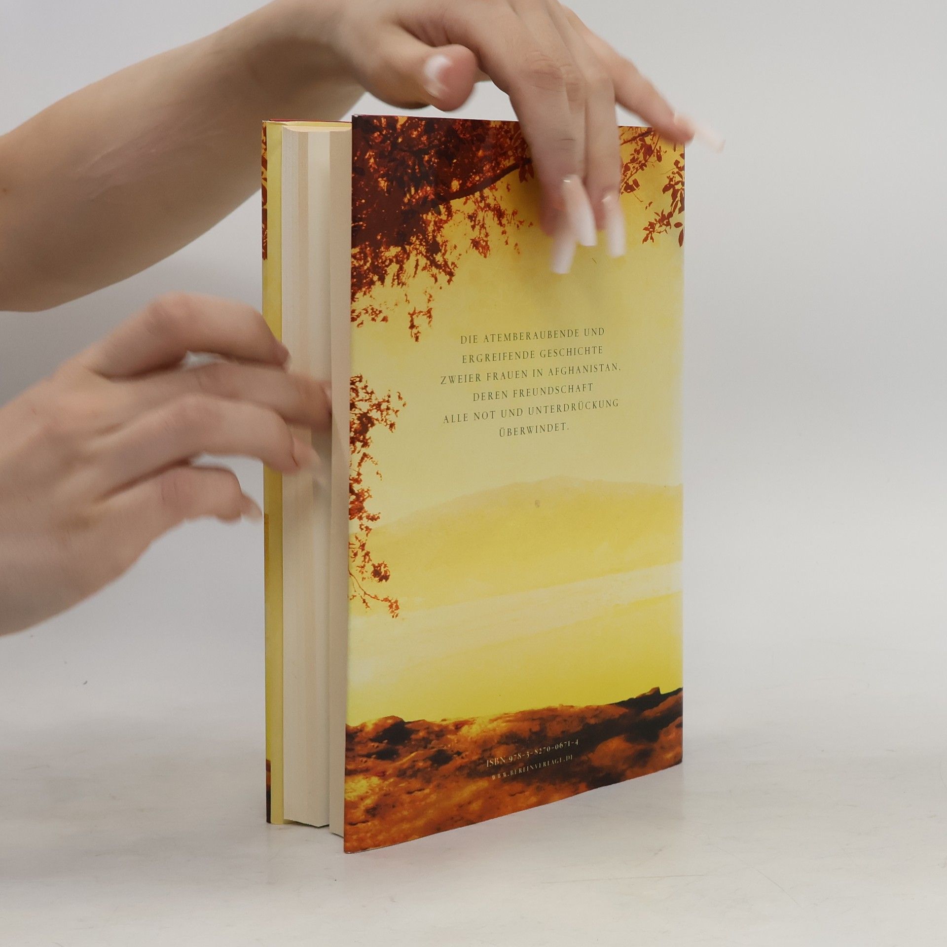 Khaled Hosseini Tausend strahlende Sonnen
