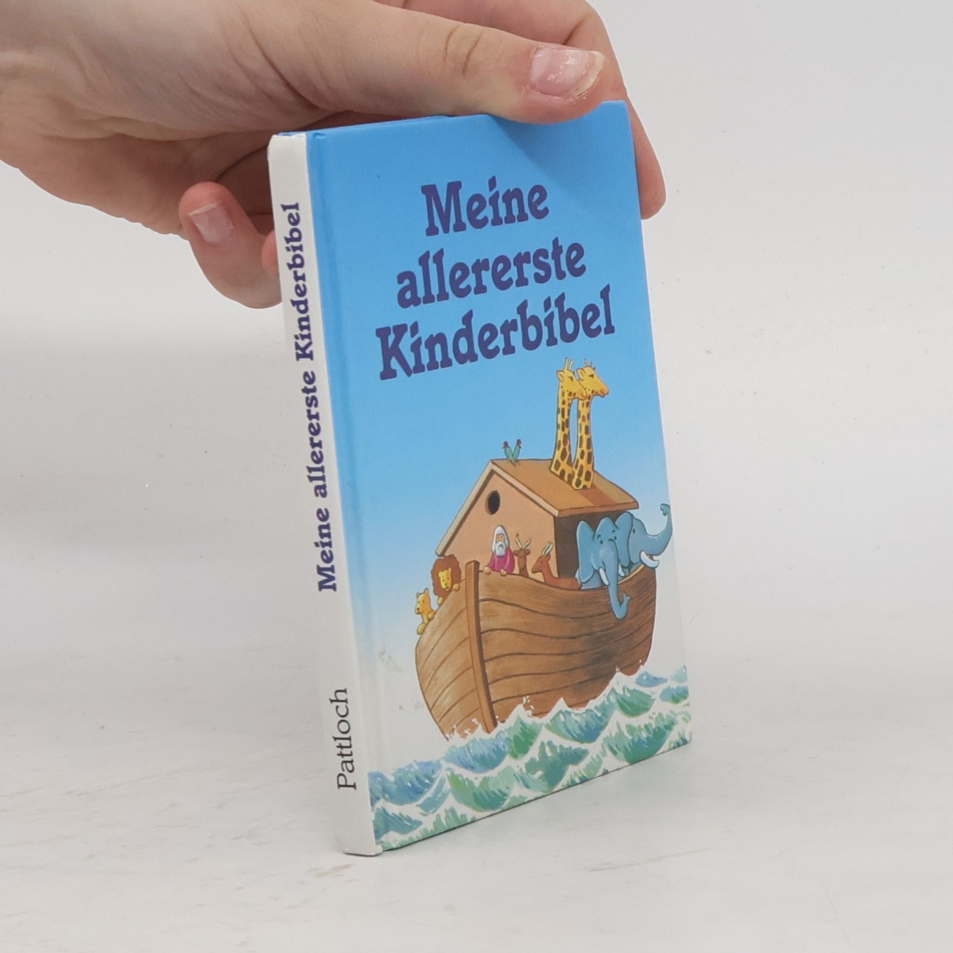 Kolektiv autorů Meine allererste Kinderbibel