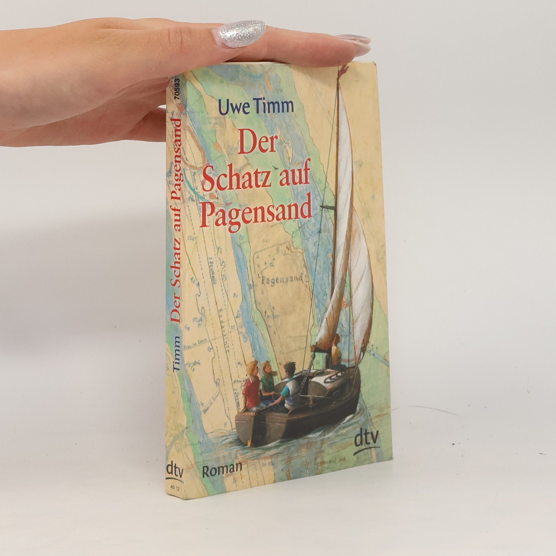 Uwe Timm Der Schatz auf Pagensand