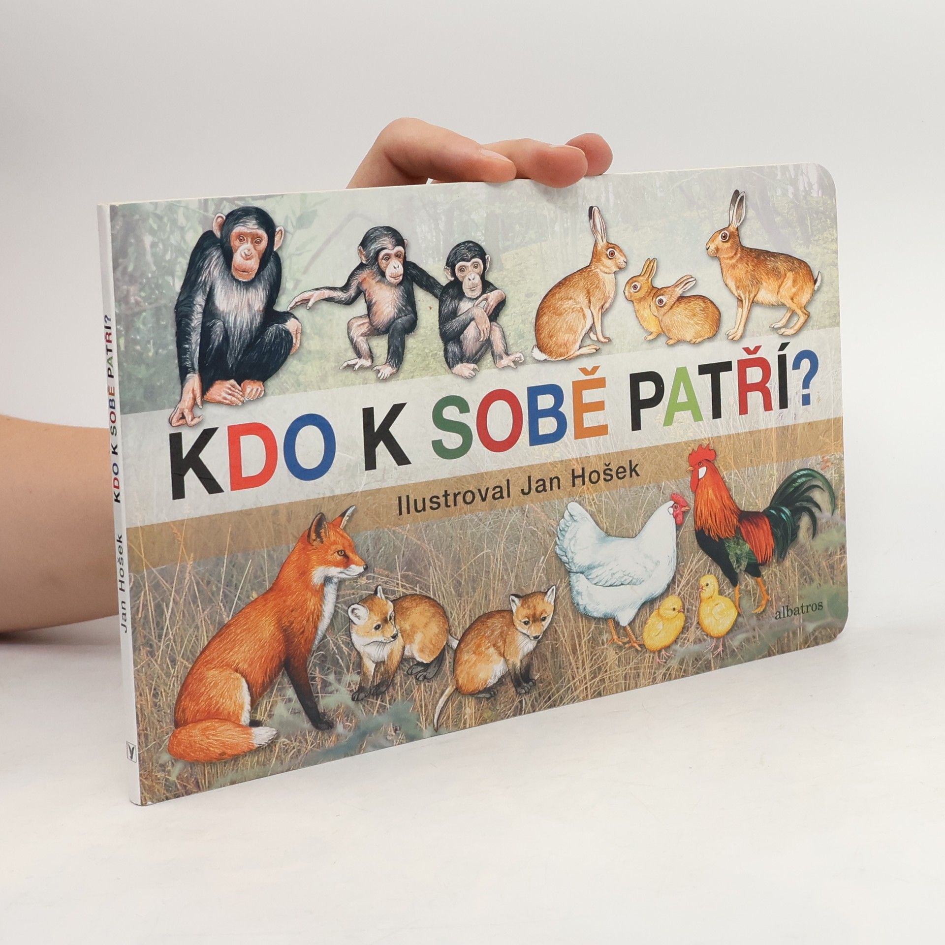 Jan Hošek Kdo k sobě patří?