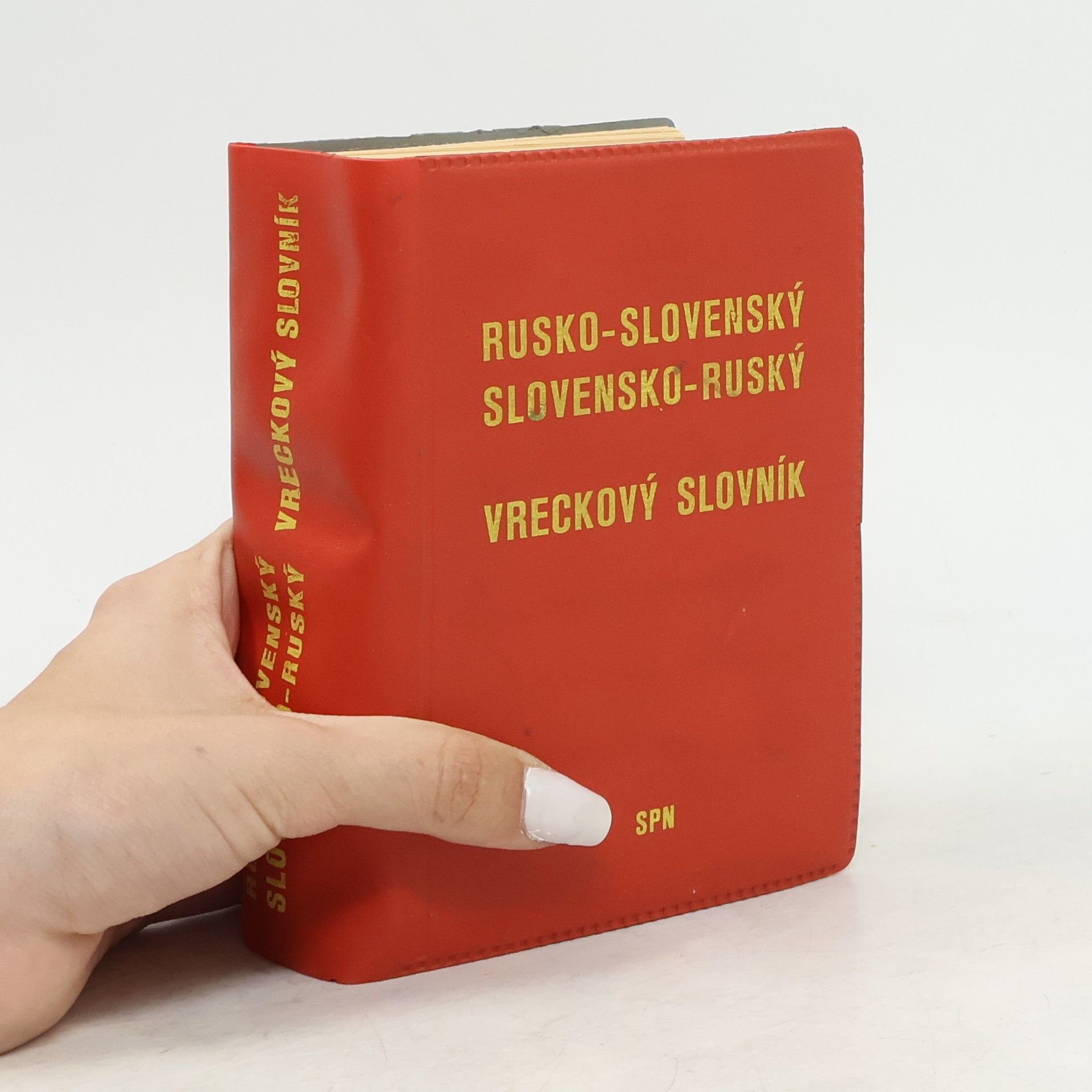 Autorenkollektiv Rusko-slovenský/Slovensko-ruský vreckový slovník