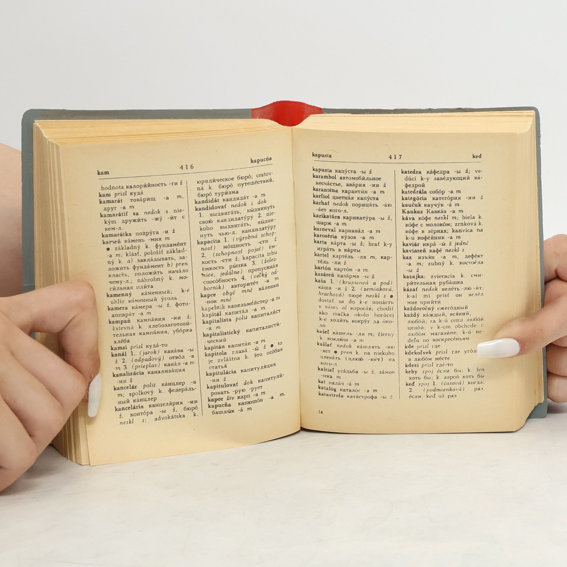 Autorenkollektiv Rusko-slovenský/Slovensko-ruský vreckový slovník
