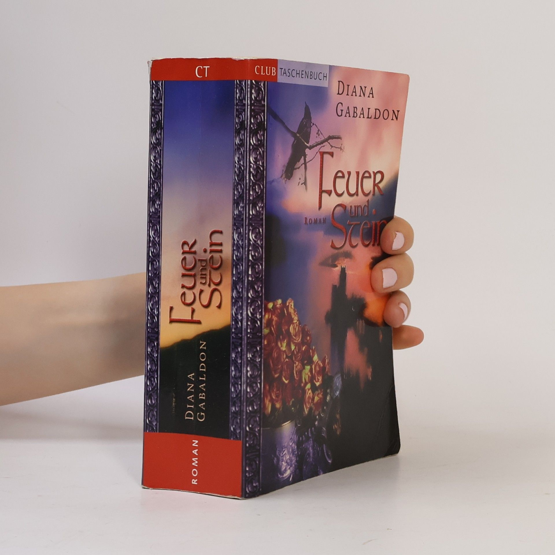 Diana Gabaldon Feuer und Stein