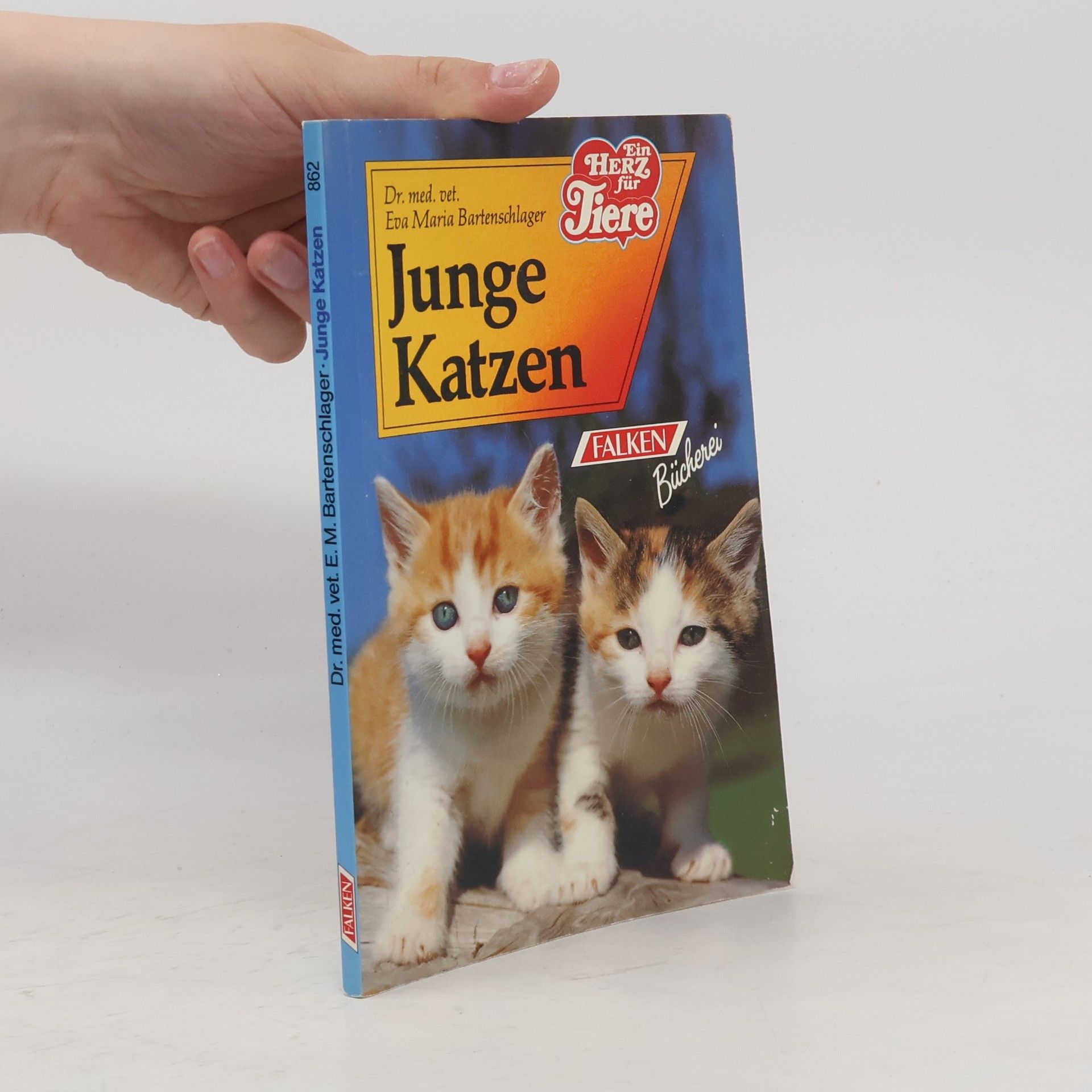 Eva Maria Bartenschlager Junge Katzen