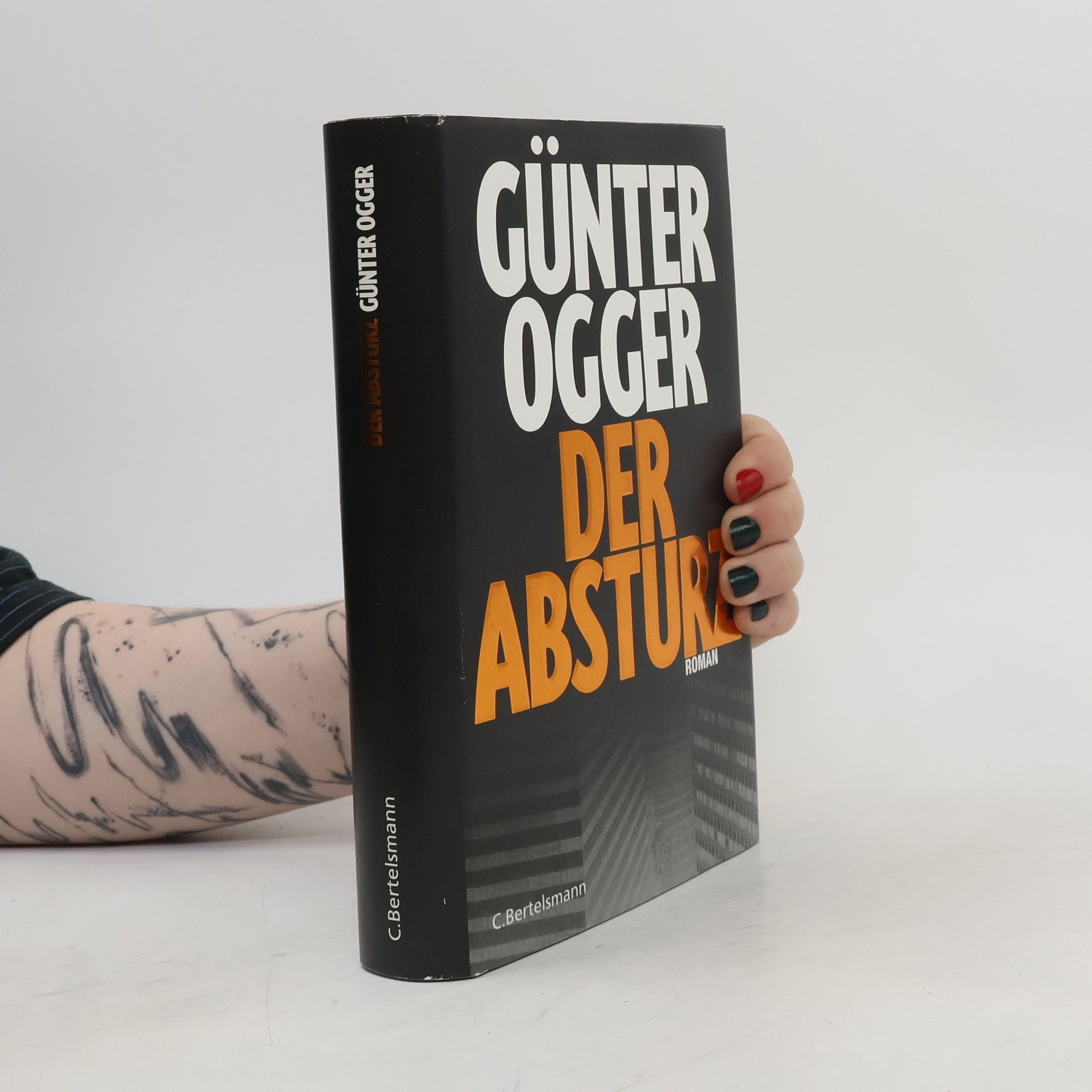 Günter Ogger Der Absturz