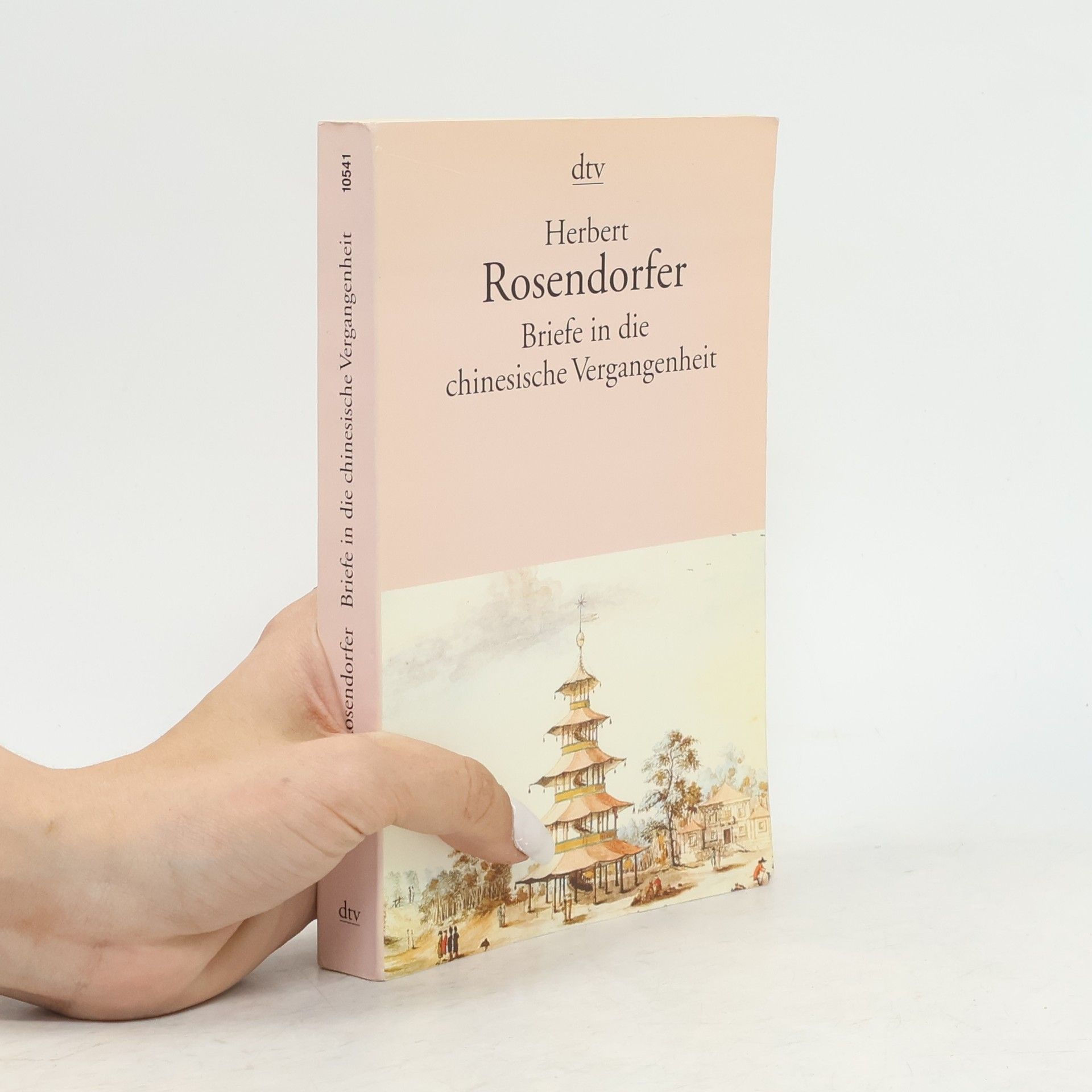 Briefe in die chinesische Vergangenheit