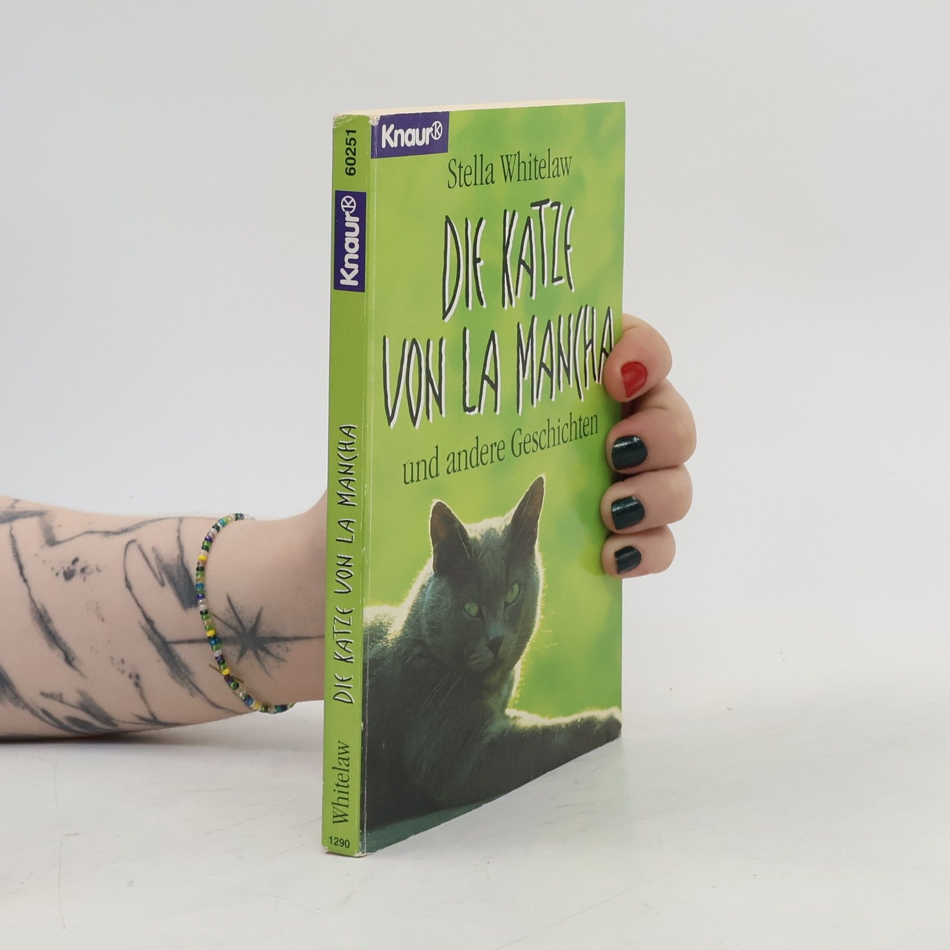 Die Katze von La Mancha