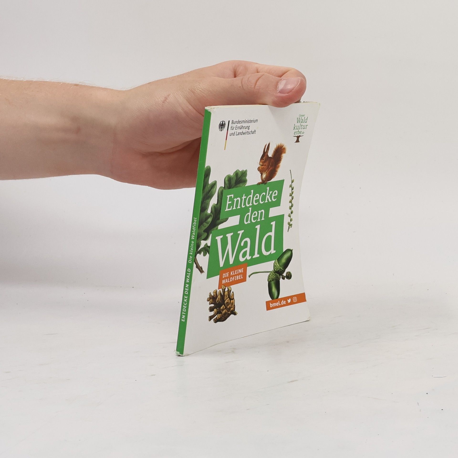 Autorenkollektiv Entdecke den Wald. Die kleine Waldfibel