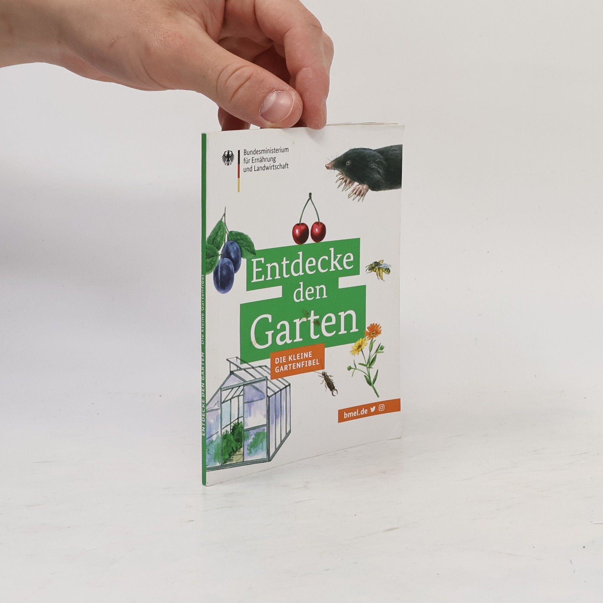 Autorenkollektiv Entdecke den Garten