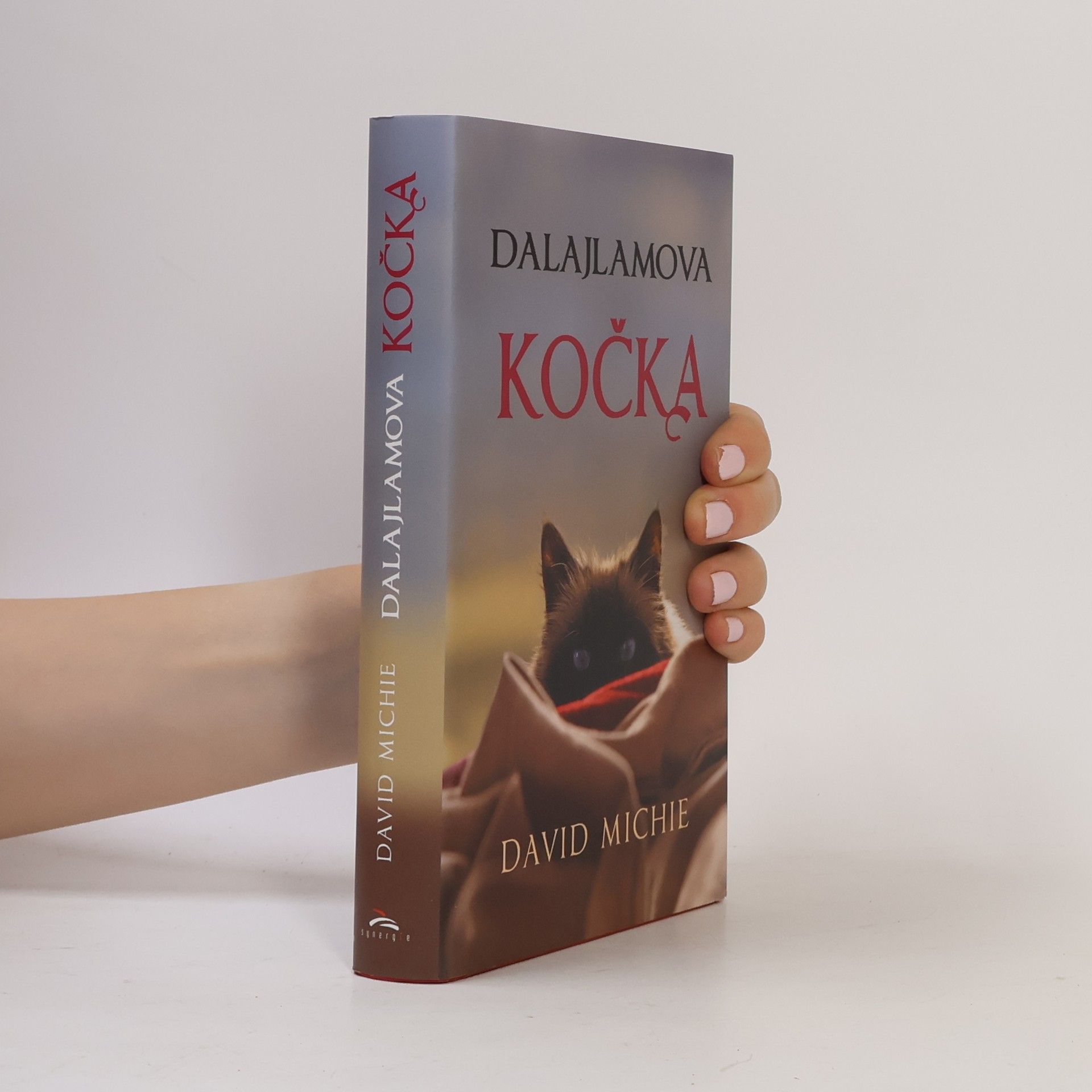 David Michie Dalajlamova kočka
