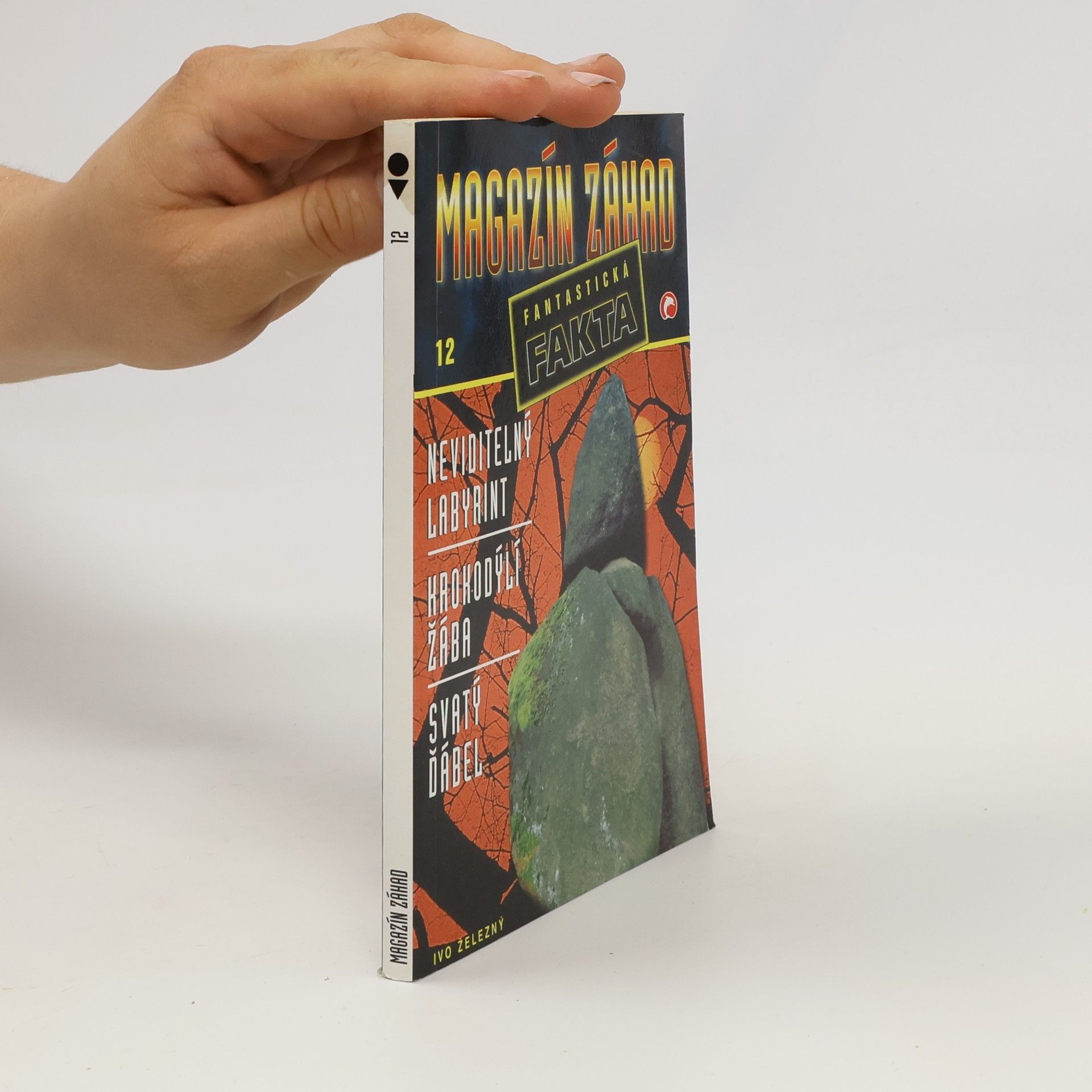 Autores varios Magazín záhad 12