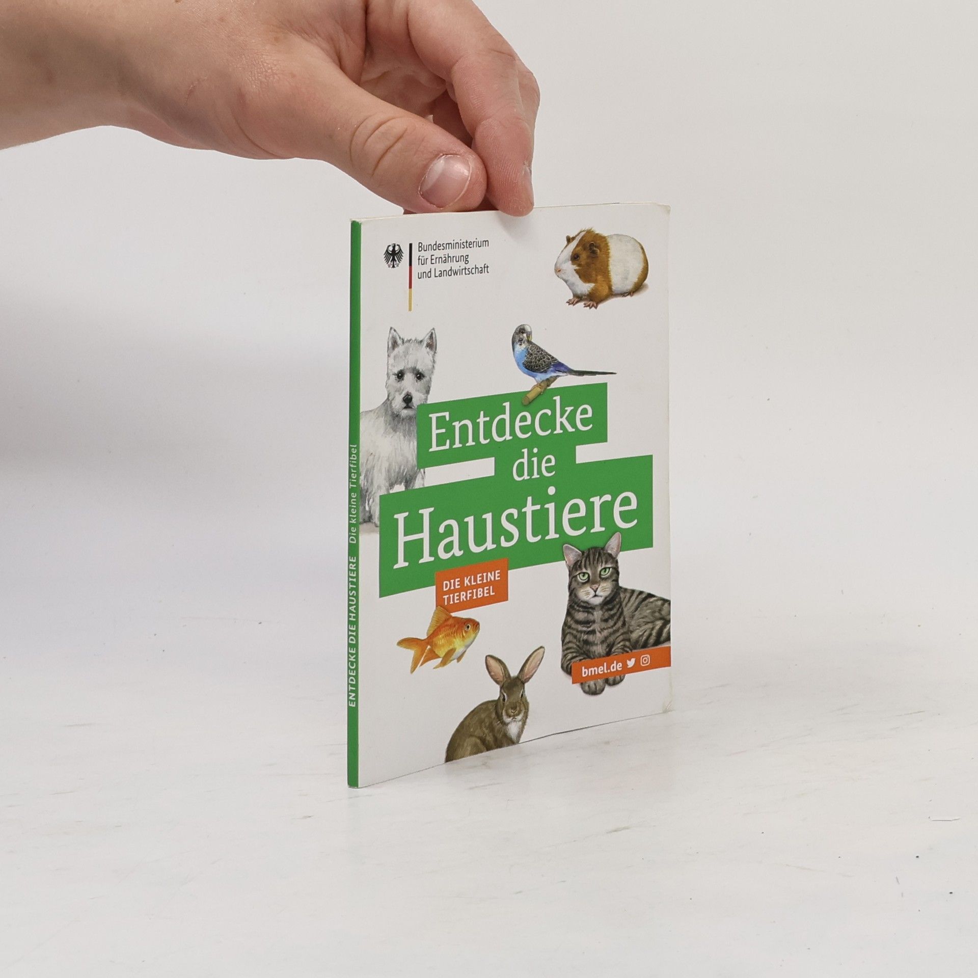 Autorenkollektiv Entdecke die Haustiere