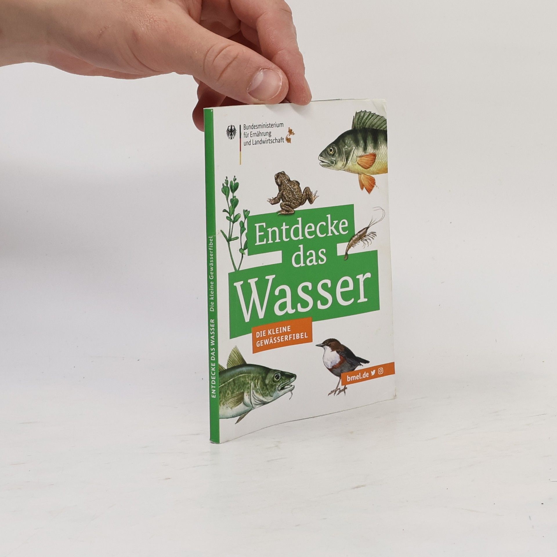 Various authors Entdecke das Wasser