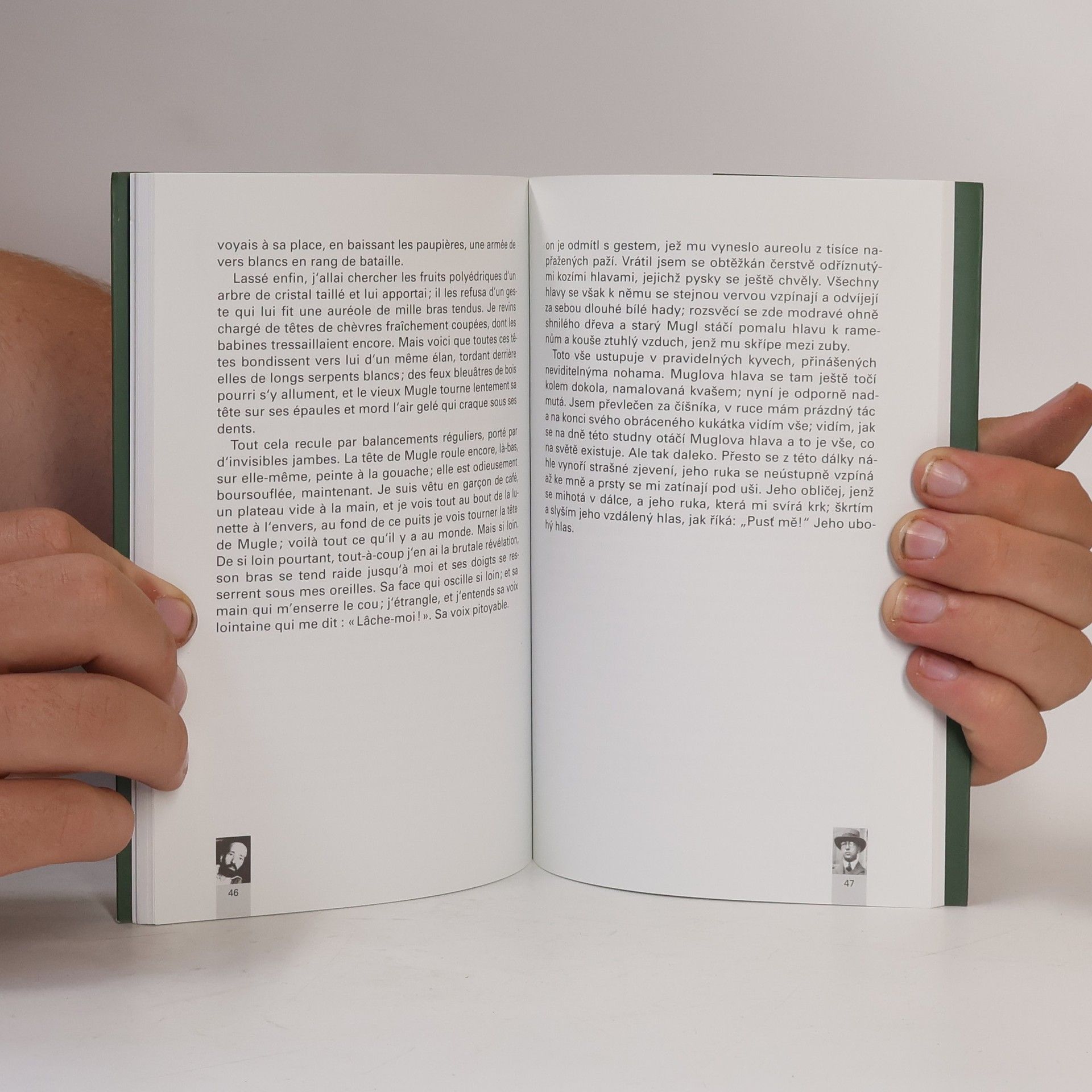 René Daumal Mugle / Mugl