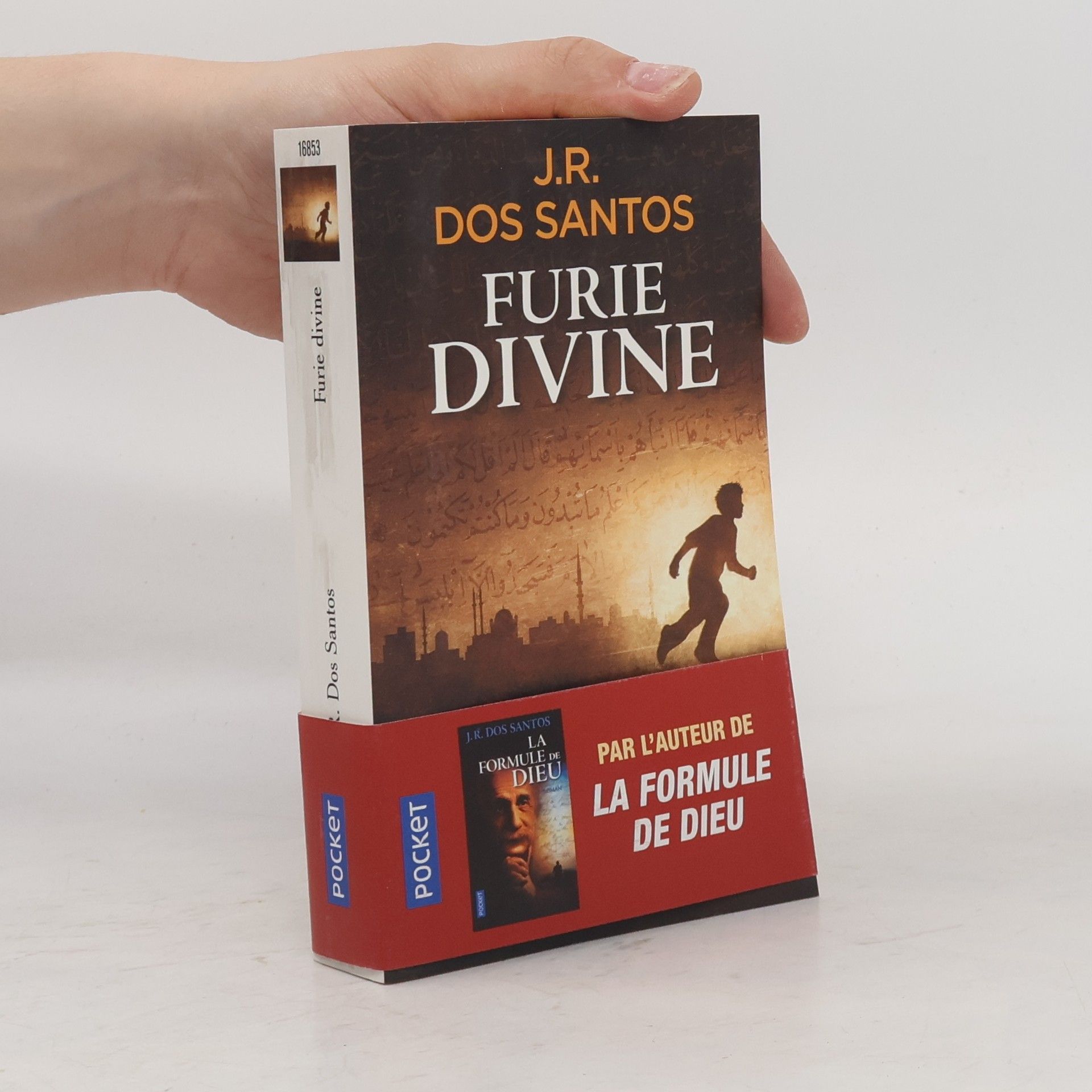 Adelino Pereira Furie divine