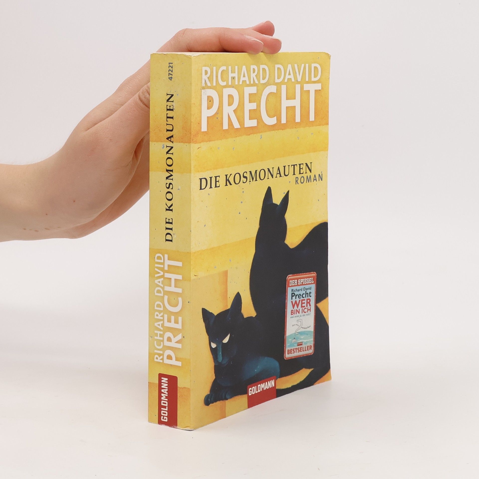 Richard David Precht Die Kosmonauten