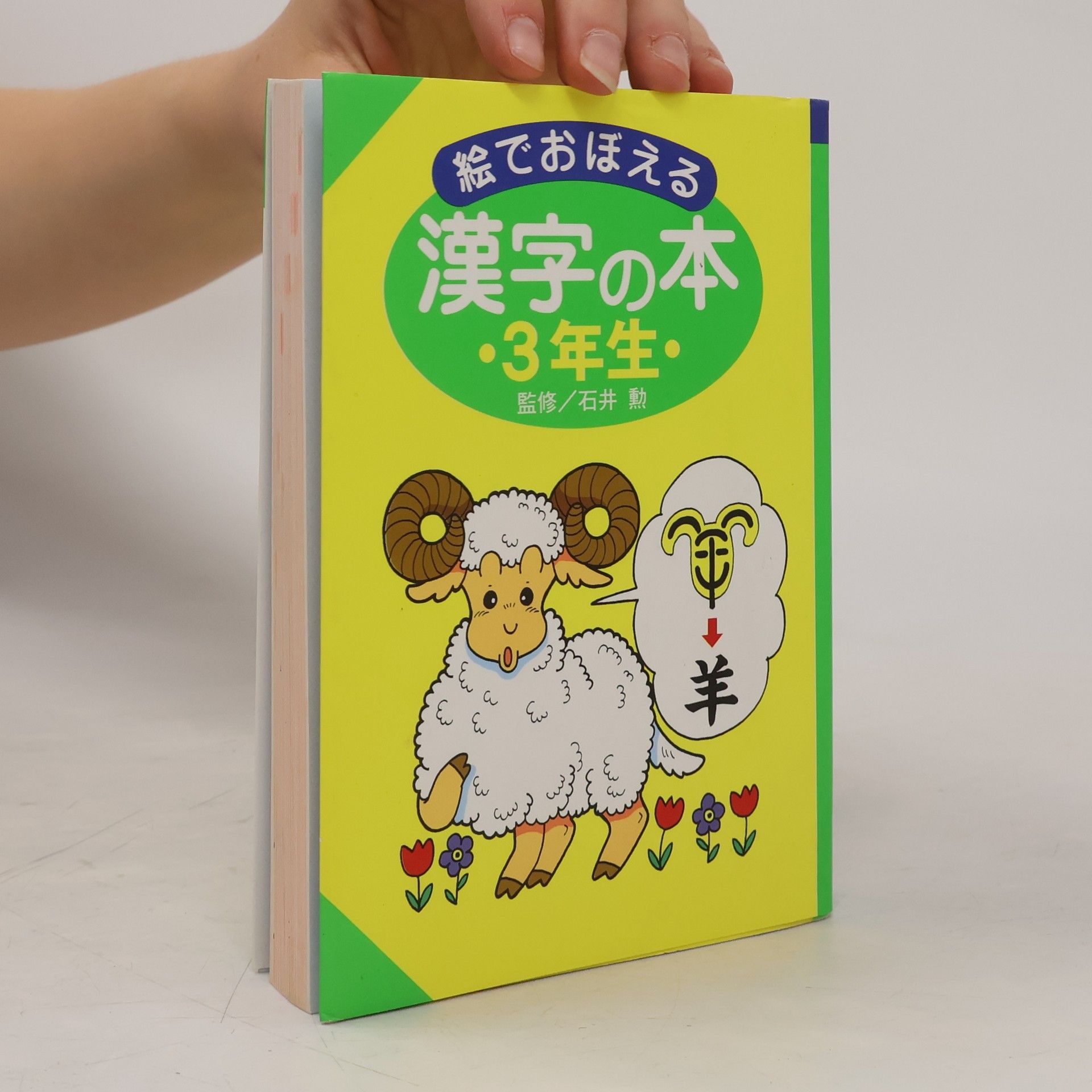 Kolektiv autorů 絵でおぼえる漢字の本 3年生
