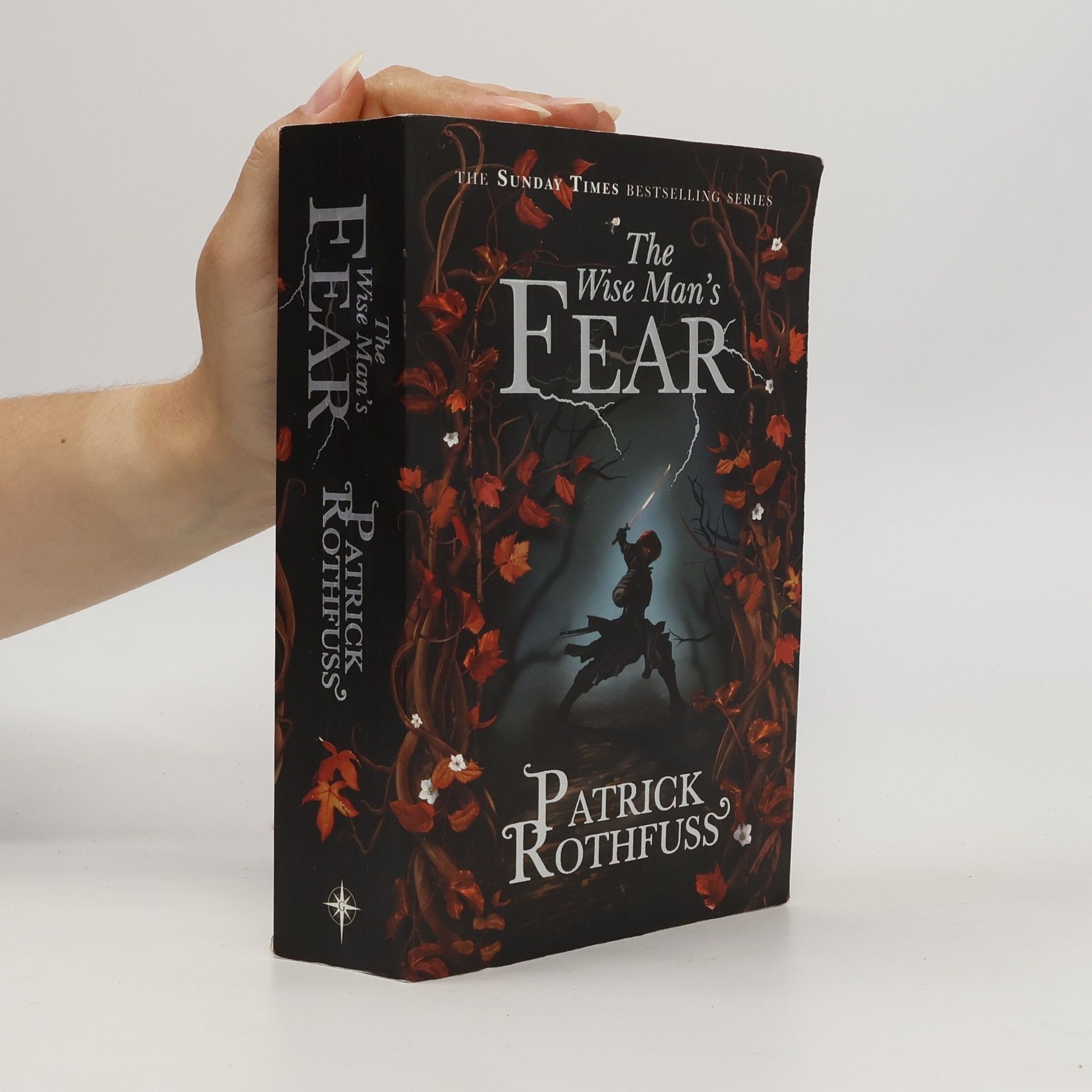 Patrick Rothfuss The Wise Man's Fear