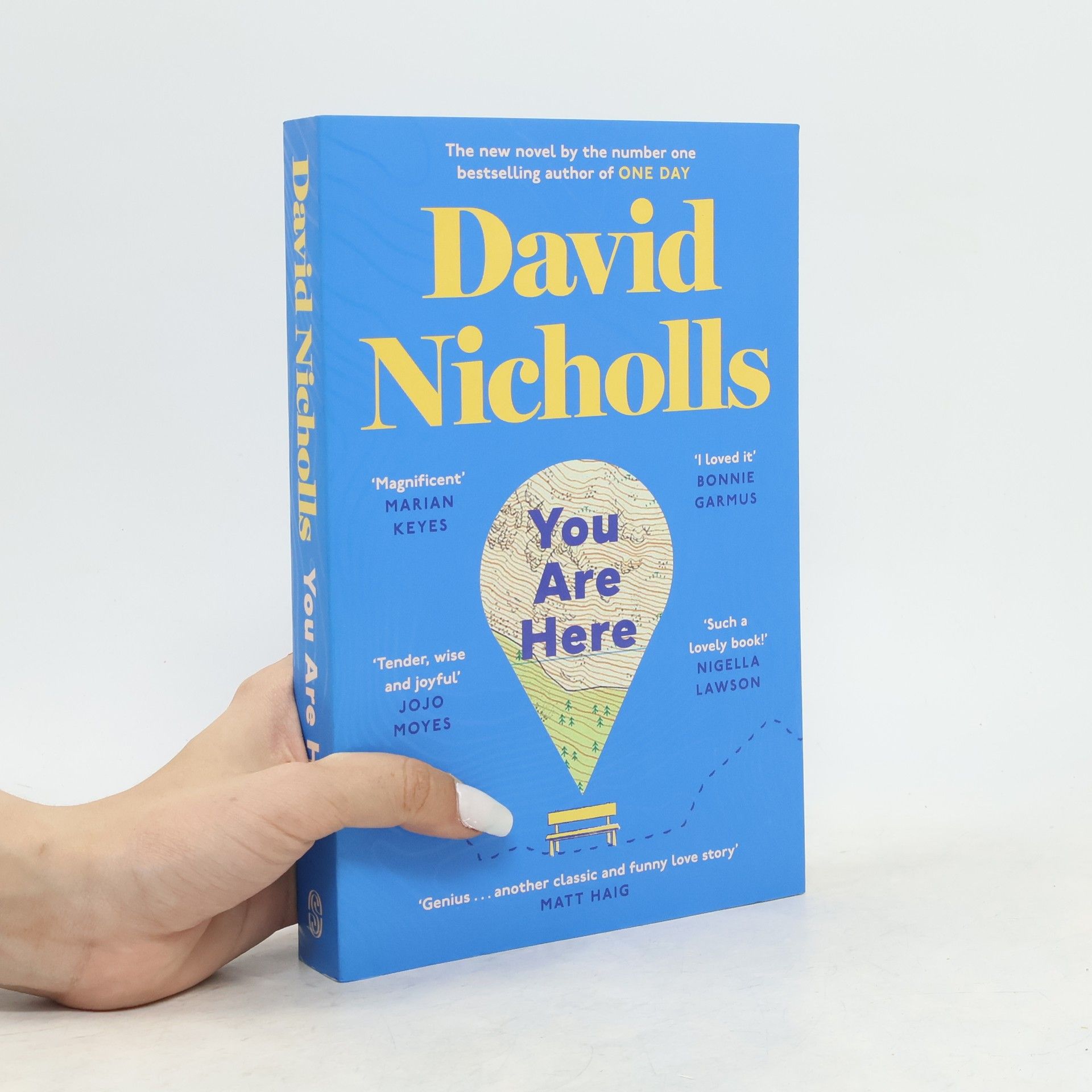David Nicholls You Are Here