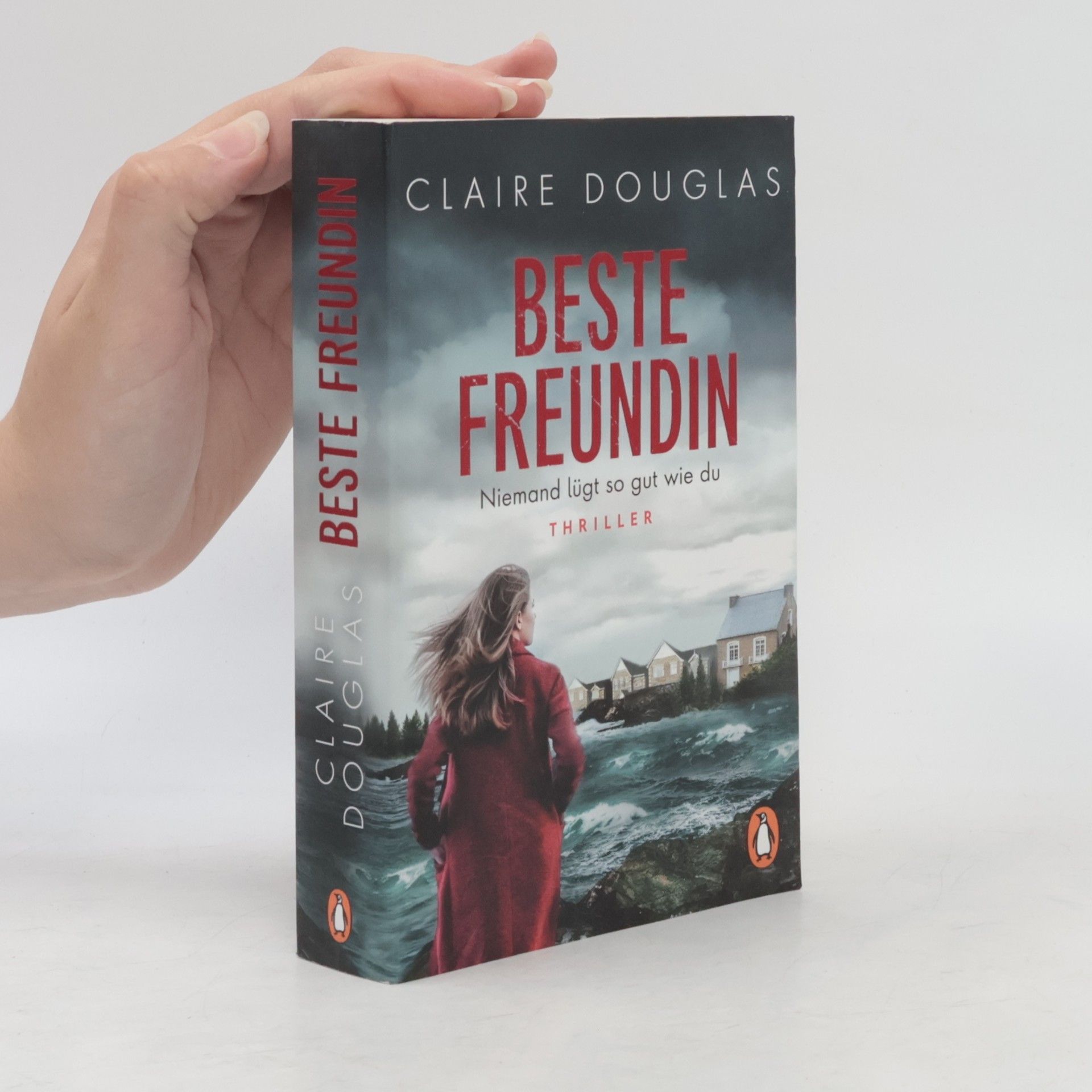 Claire Douglas Beste Freundin. Niemand lügt so gut wie du