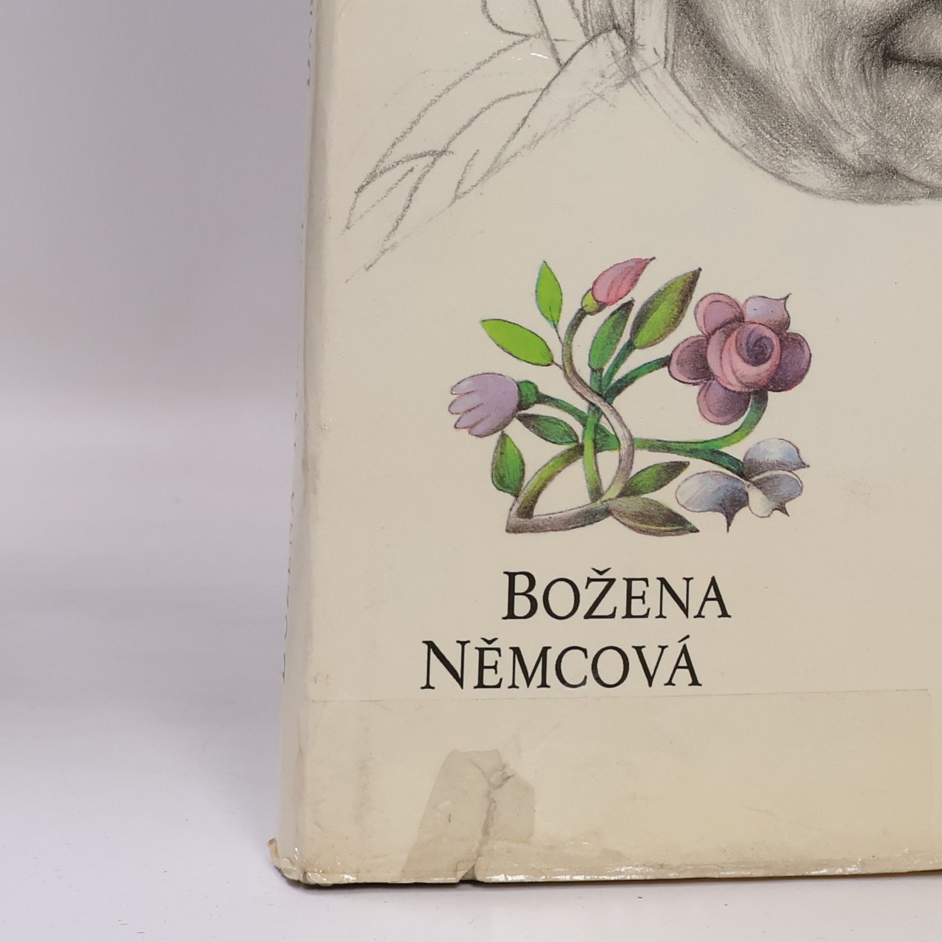 Božena Němcová Babička