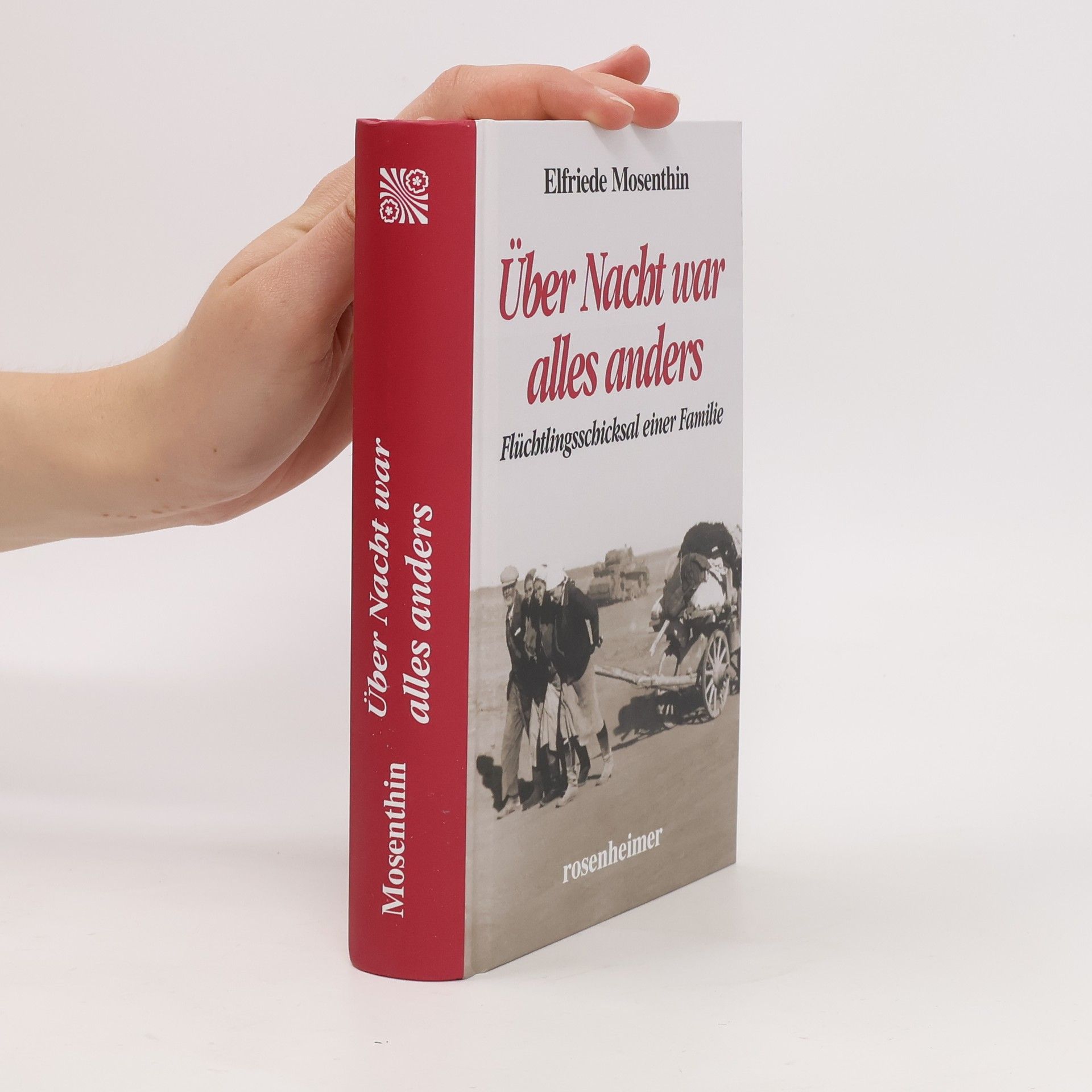 Elfriede Mosenthin Über Nacht war alles anders
