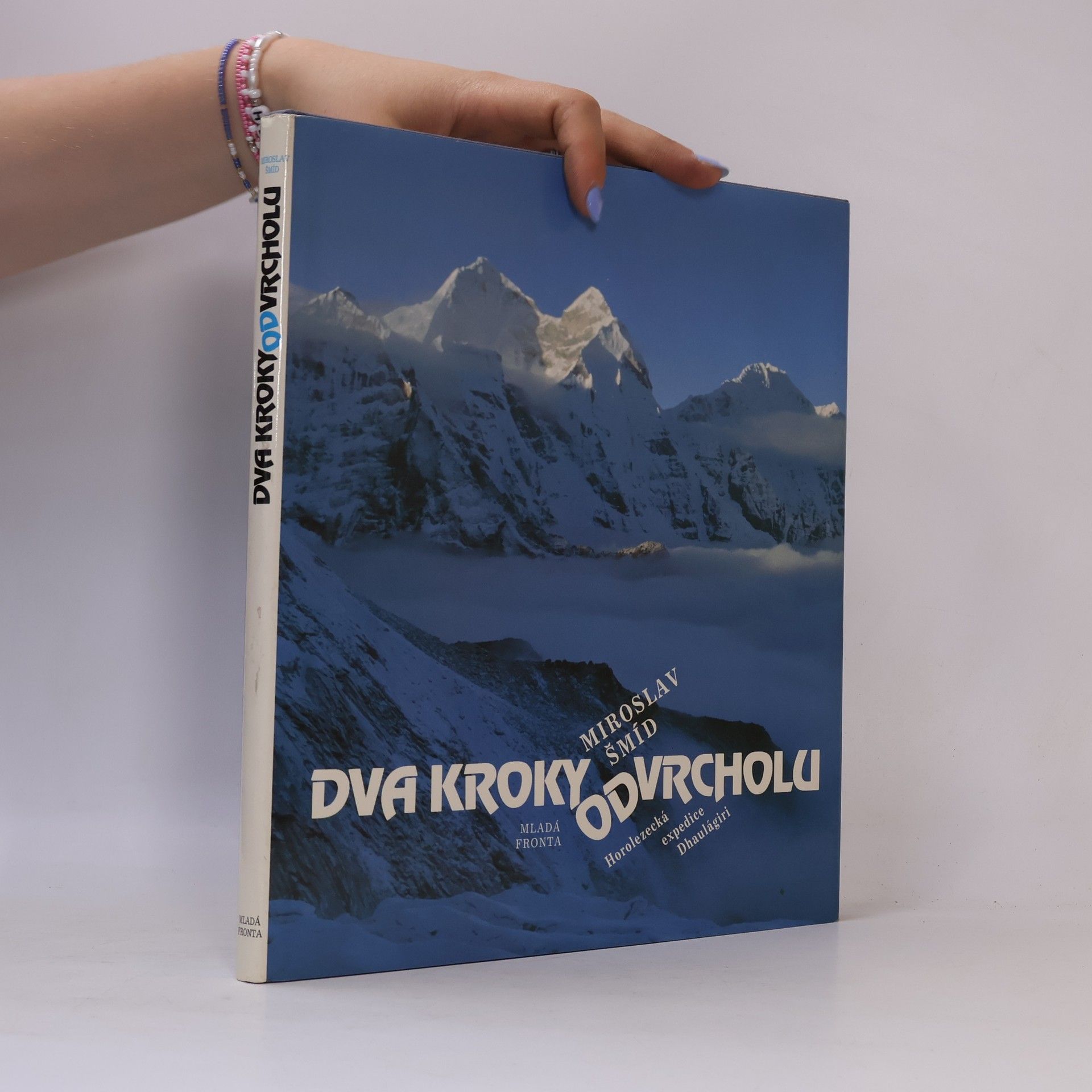 Miroslav Šmíd Dva kroky od vrcholu