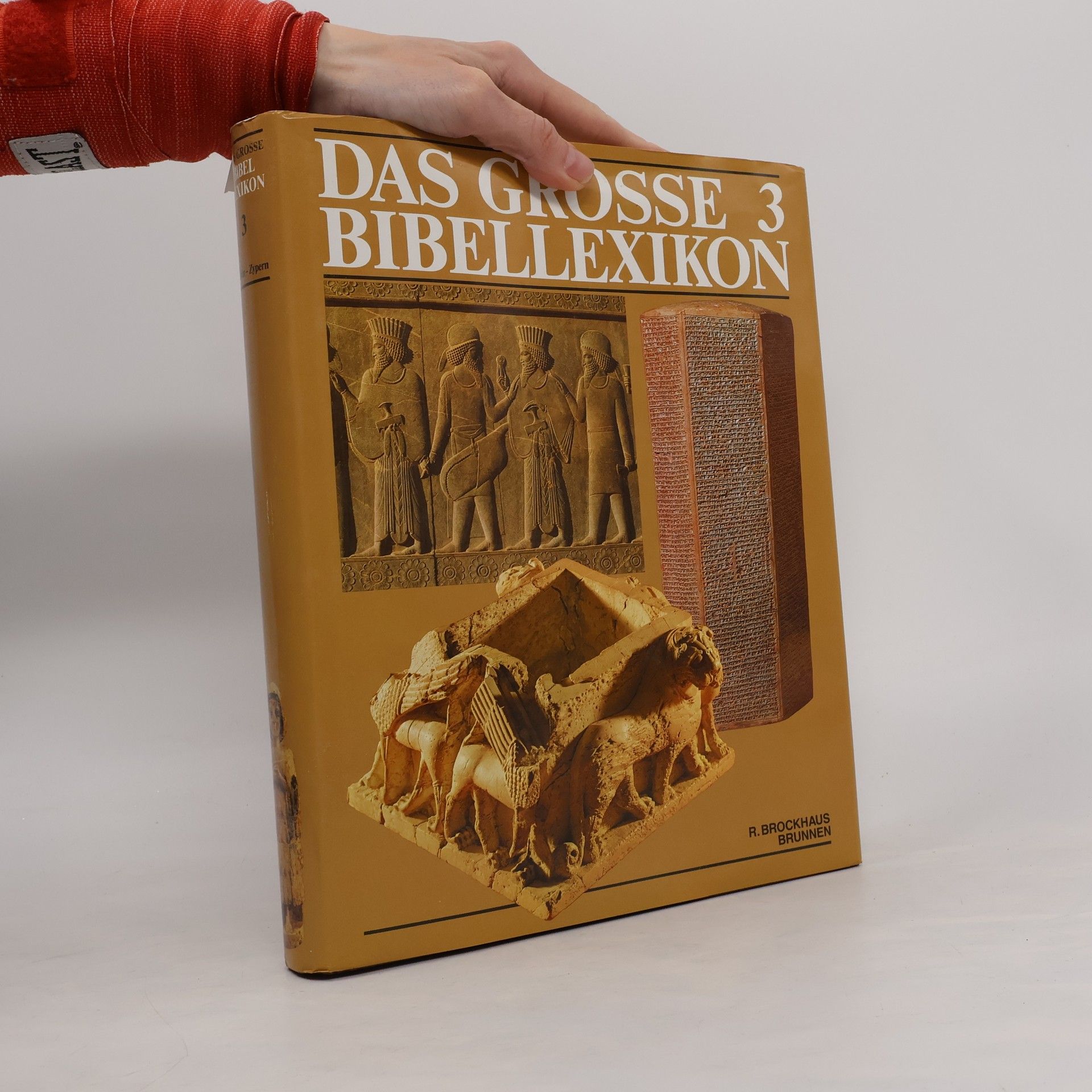 Various authors Das grosse Bibellexikon 3