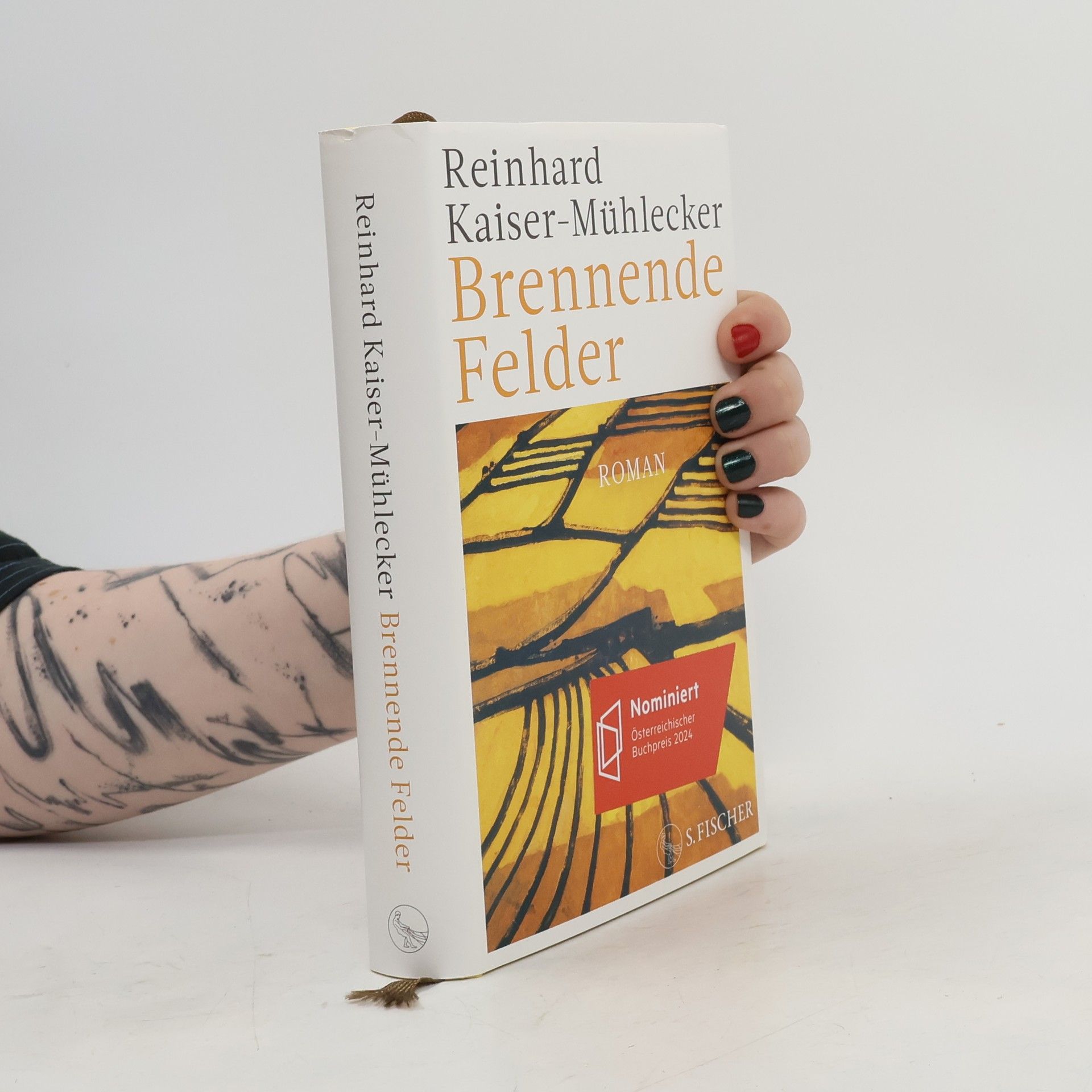Reinhard Kaiser-Mühlecker Brennende Felder