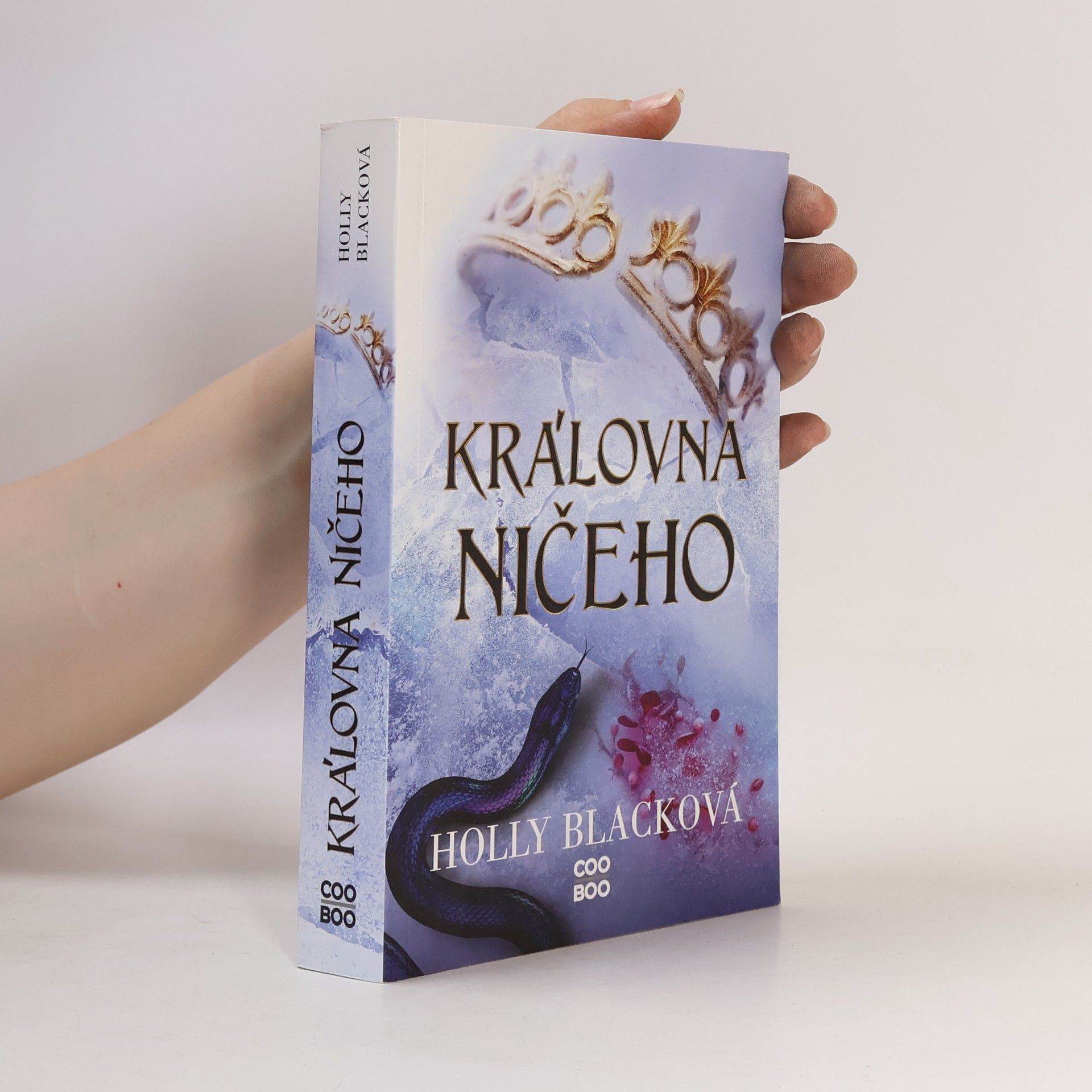 Holly Black Královna ničeho