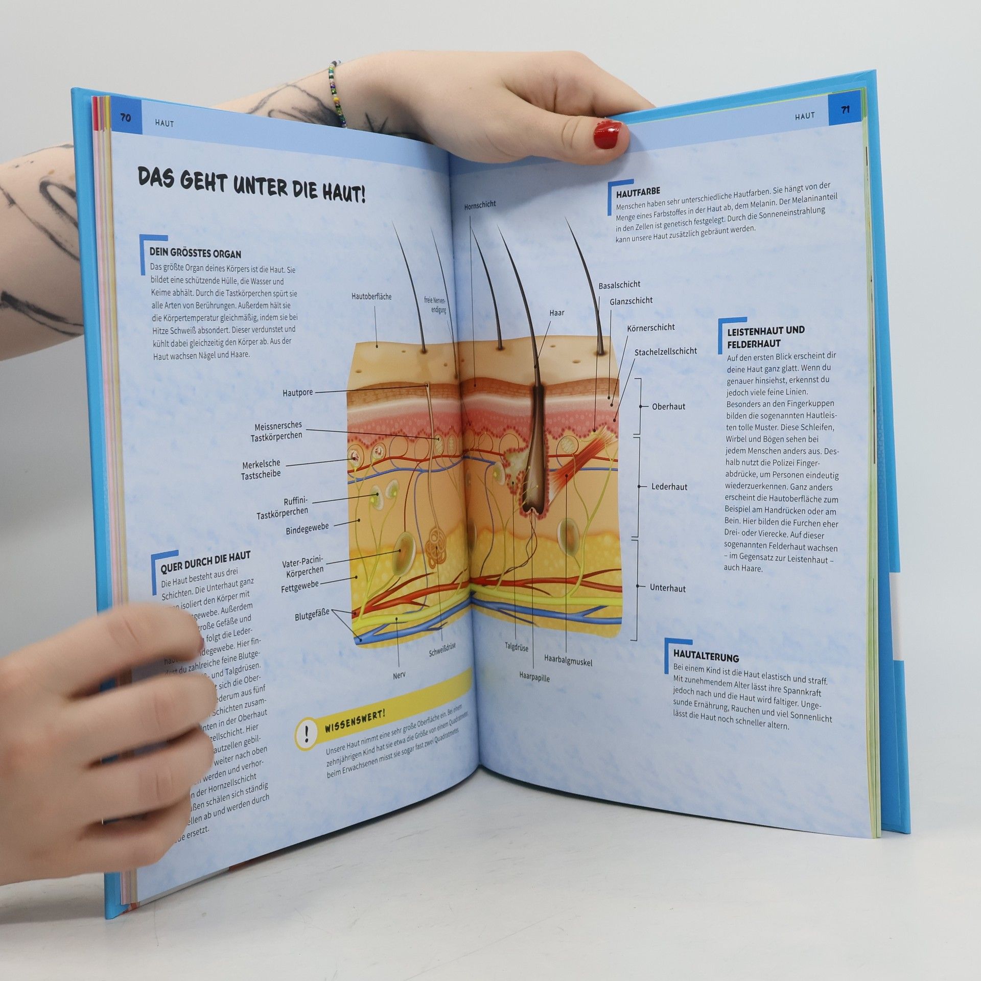 Autorenkollektiv Mein großer Körperatlas