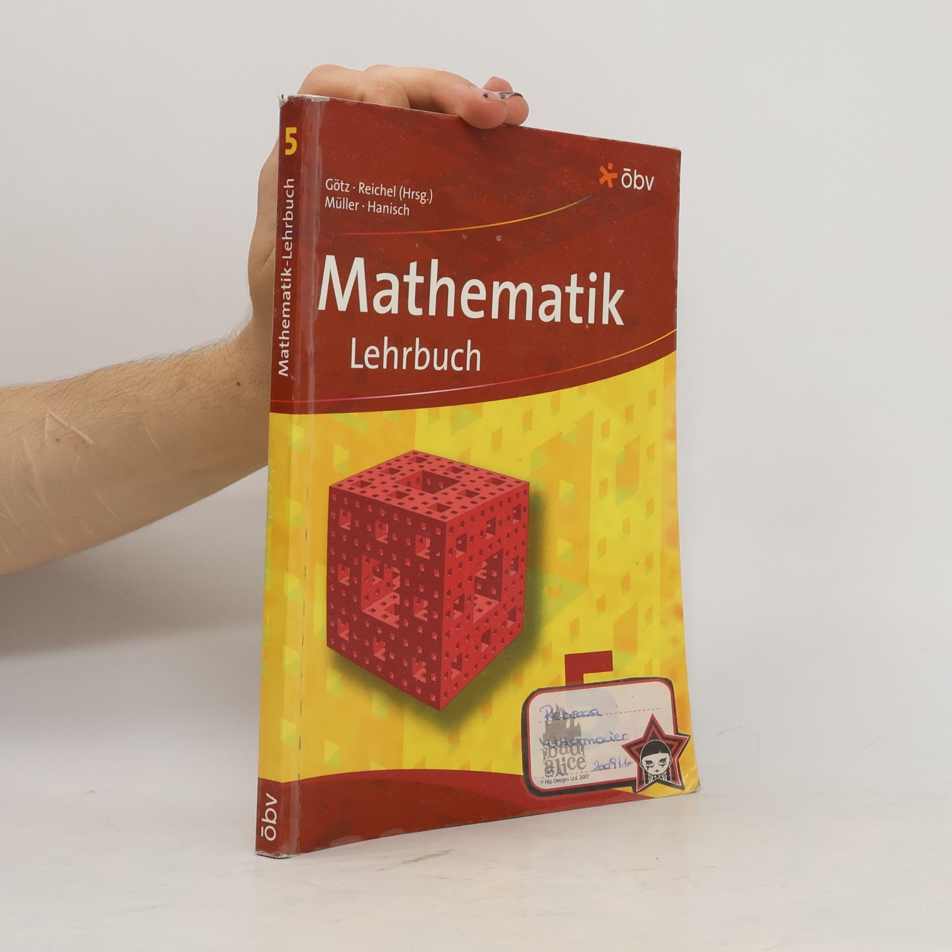Autores varios Mathematik Lehrbuch 5