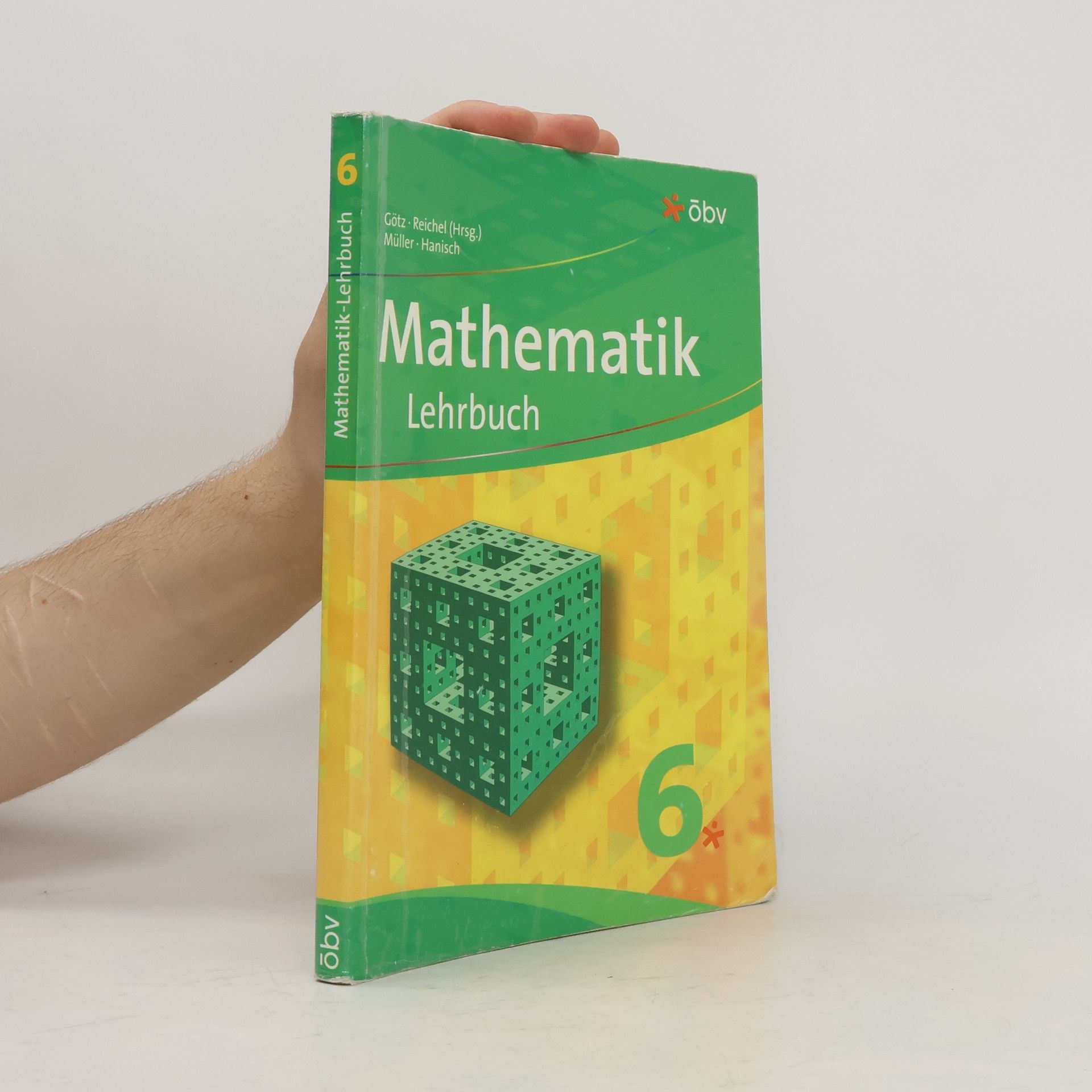 Mathematik Lehrbuch 6