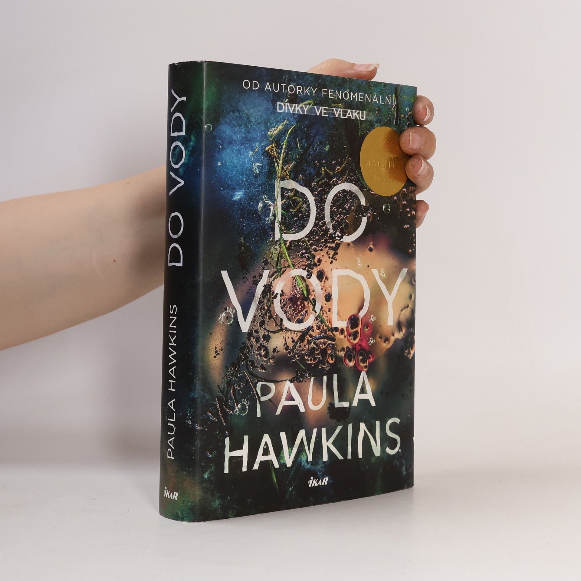 Paula Hawkins Do vody