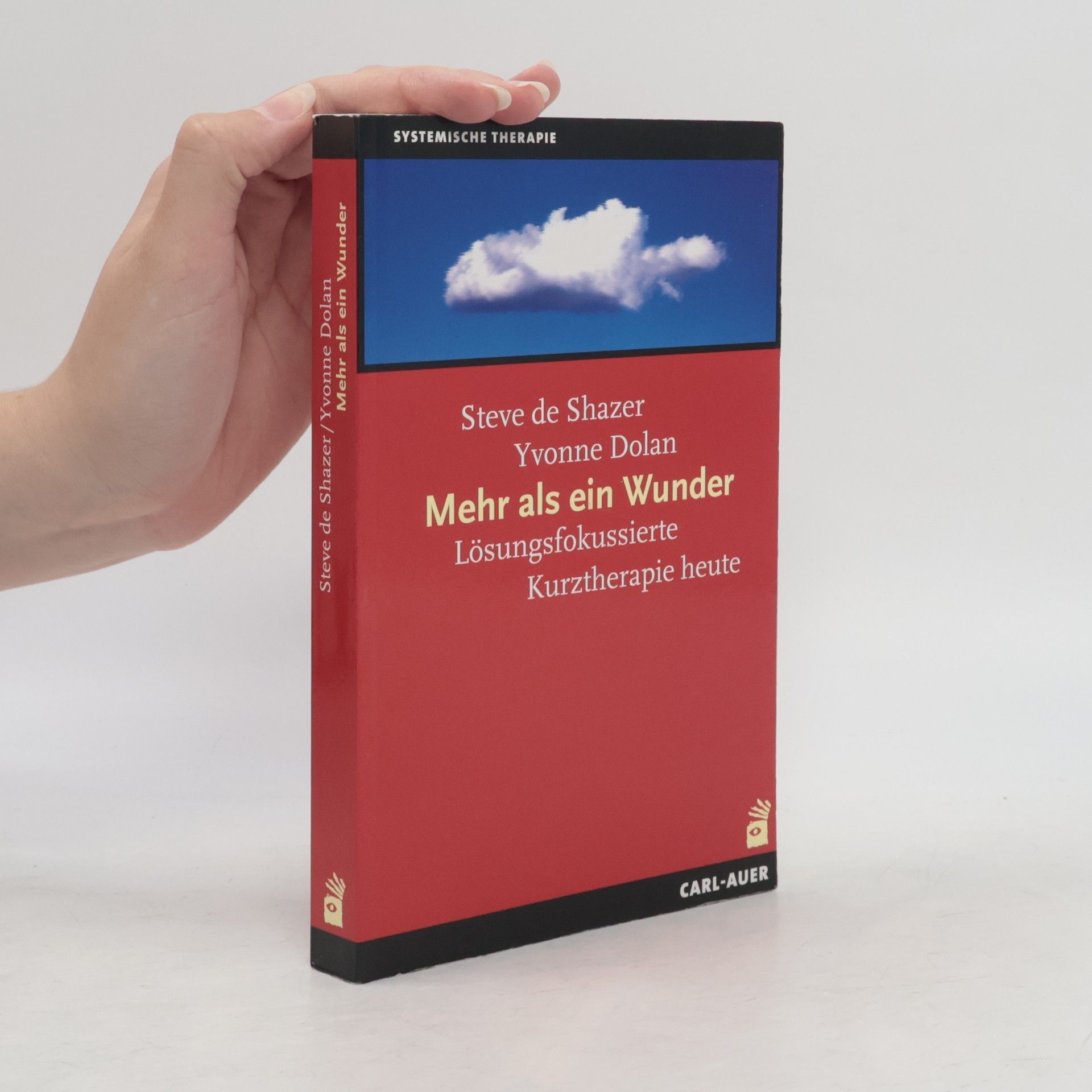 Steve de Shazer Mehr als ein Wunder