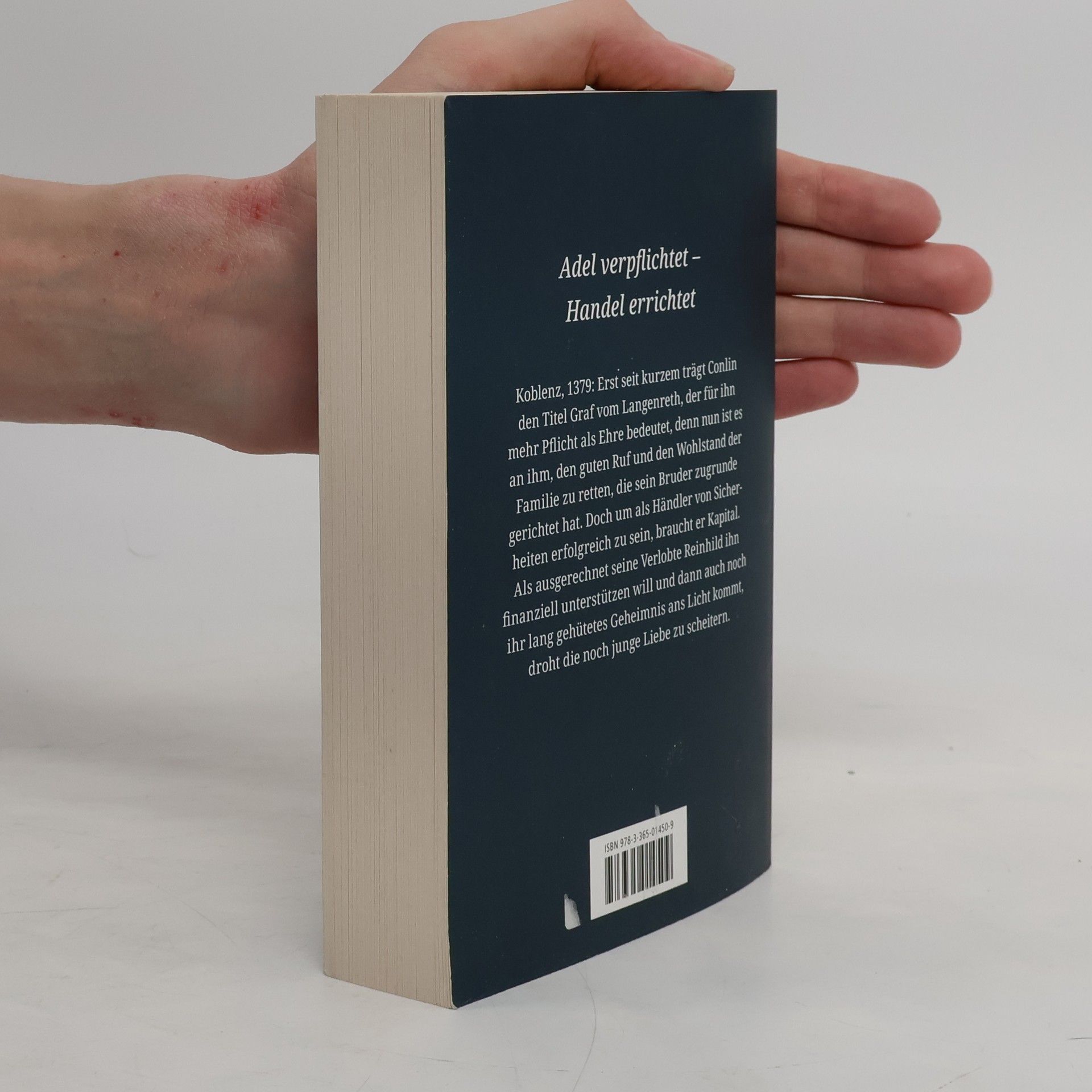 Petra Schier Das Geheimnis des Pilgers