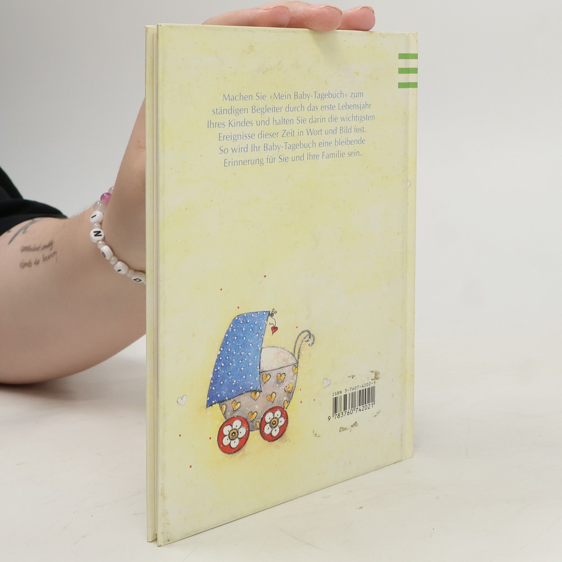 Brigitte Asam Mein Baby-Tagebuch