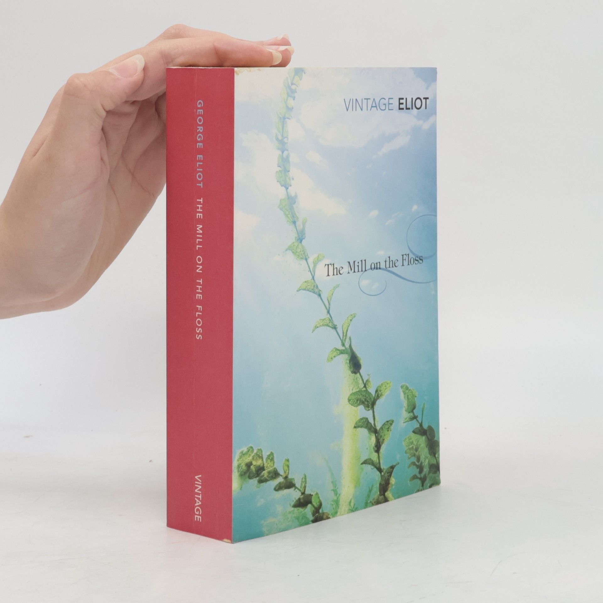 George Eliot The Mill on the Floss
