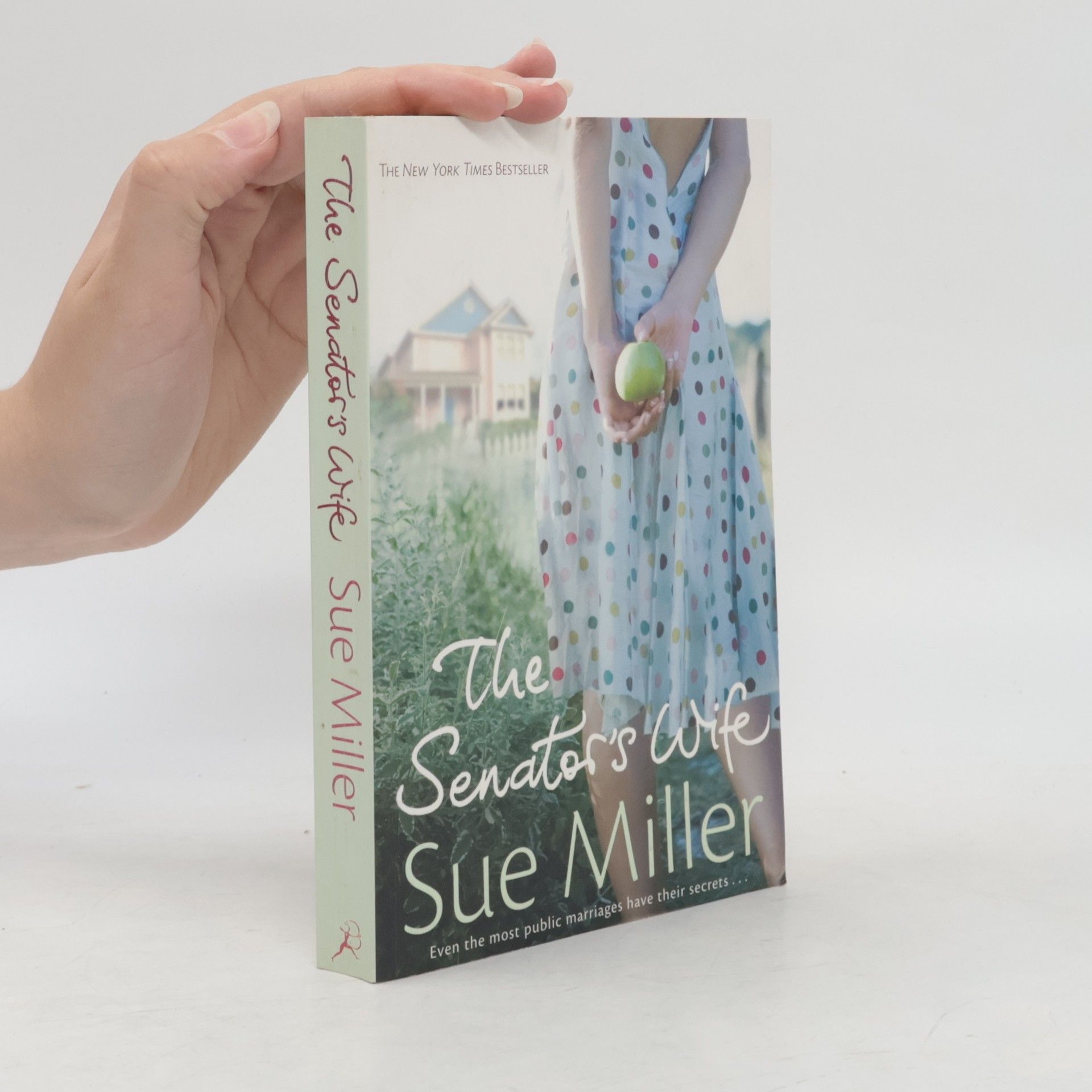 Sue Miller The Senator's Wife