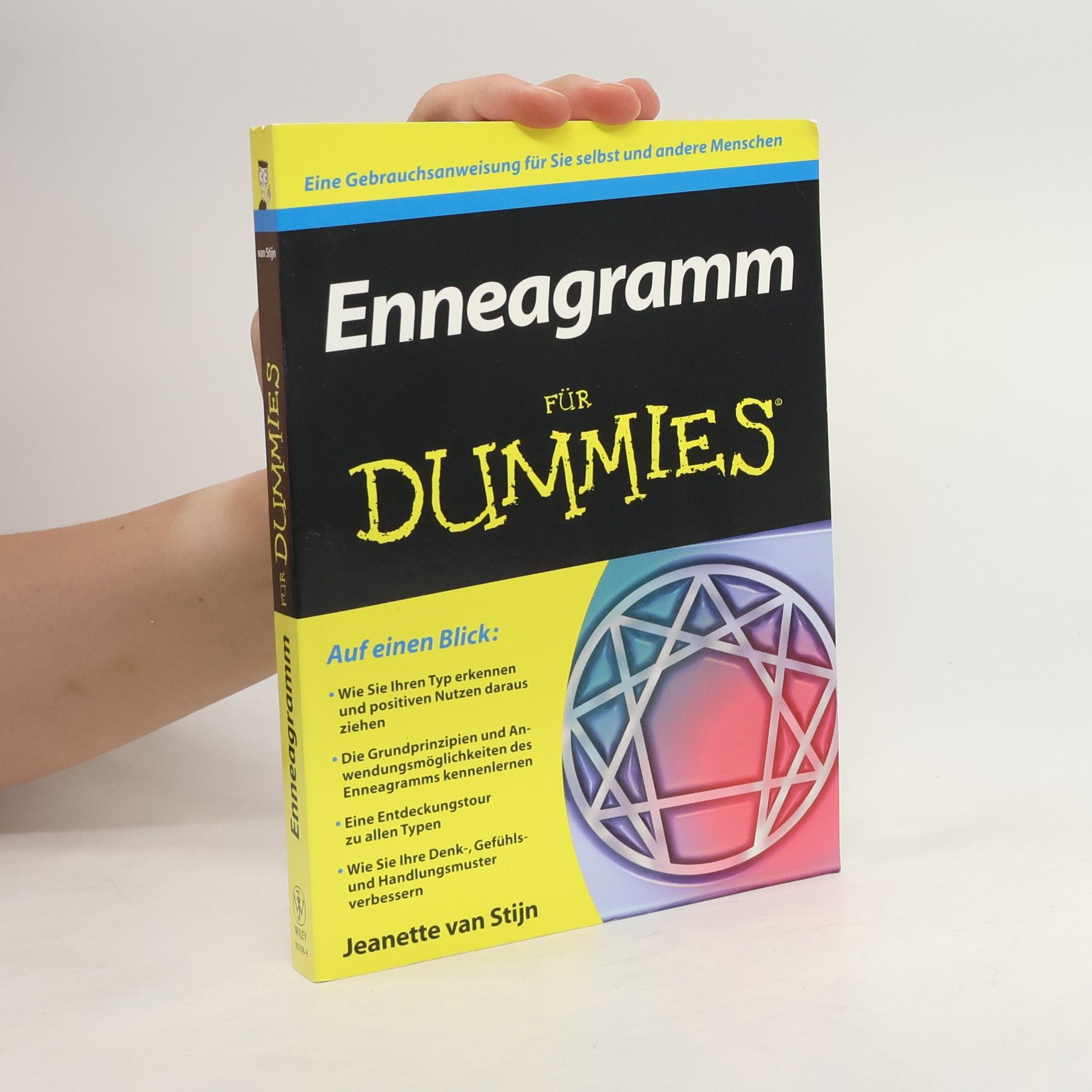 Jeanette van Stijn Enneagramm für Dummies