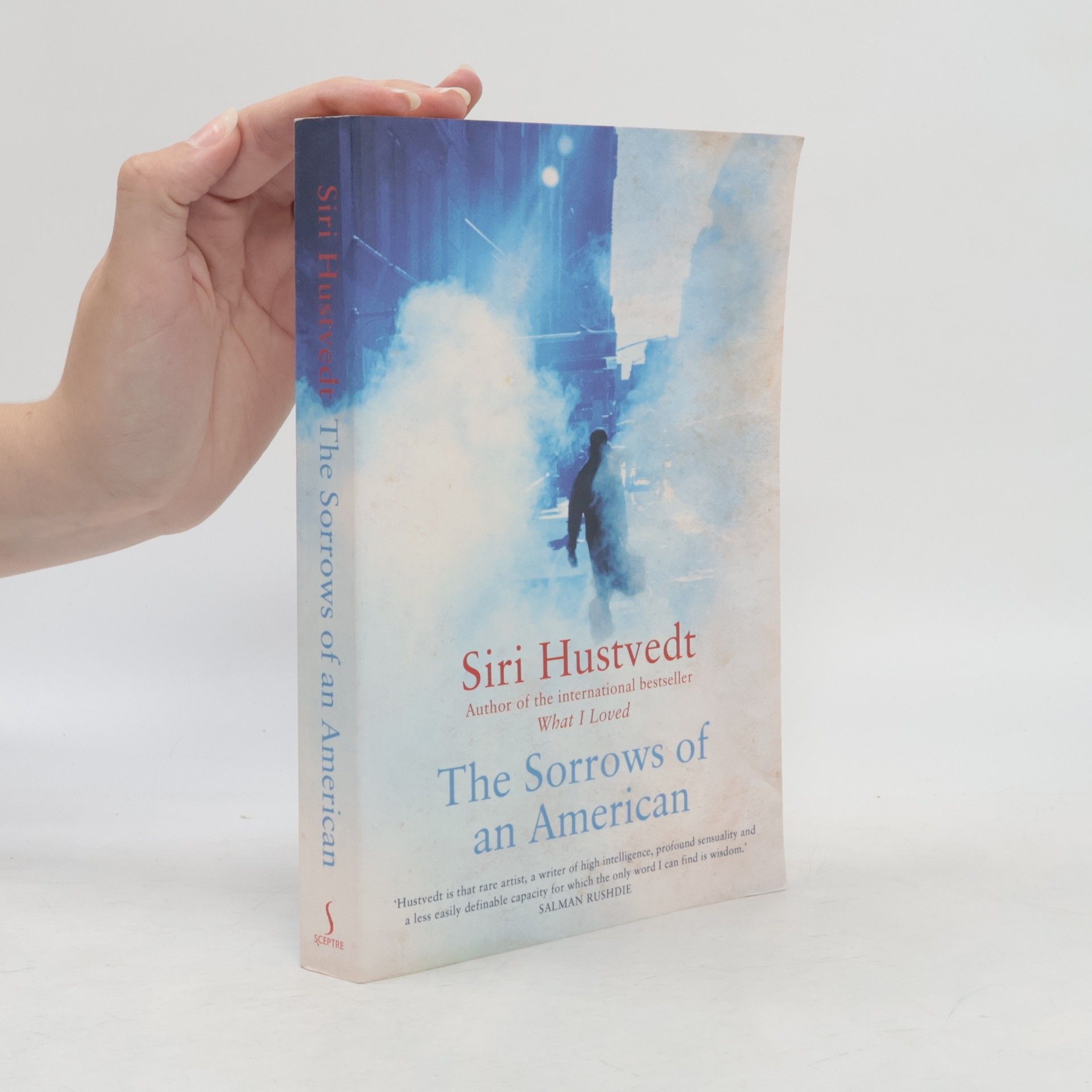 Siri Hustvedt The Sorrows of an American