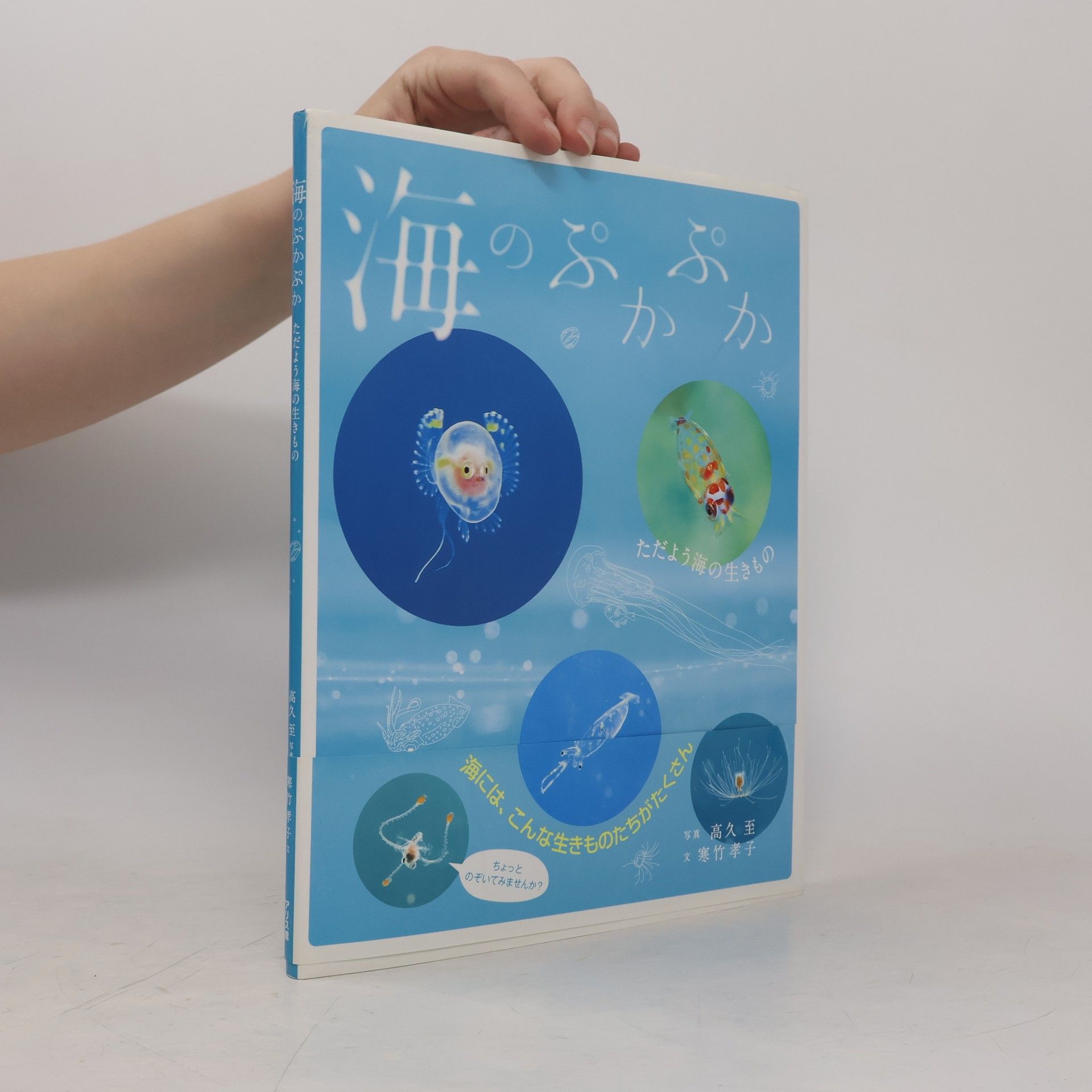 寒竹 孝子 海のぷかぷか ただよう海の生きもの