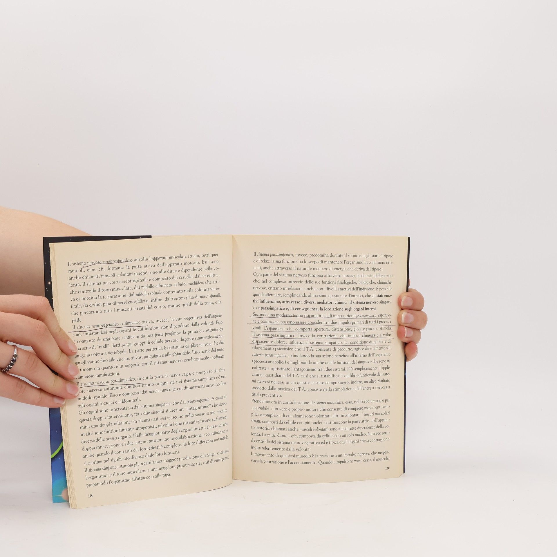 Milena Screm Parapsicologia: Comprendere e praticare il training autogeno. Come concentrarsi, rilassarsi, potenziarsi. Con CD Audio